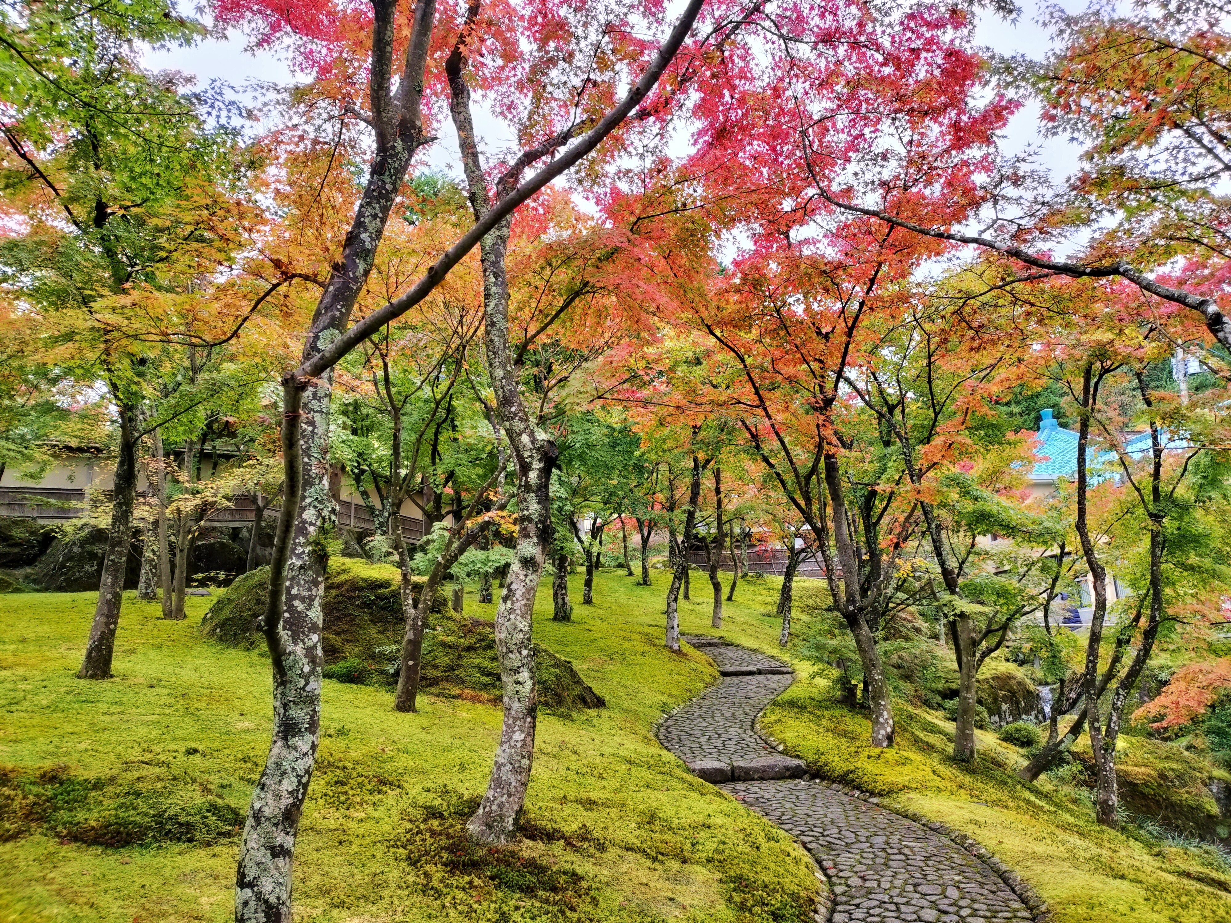 紅葉☆即購入OK様☆専用☆ JKworks「紅葉」 JKworks「紅葉」 JKworks「紅葉」 2003 Kawasaki ZX600, E