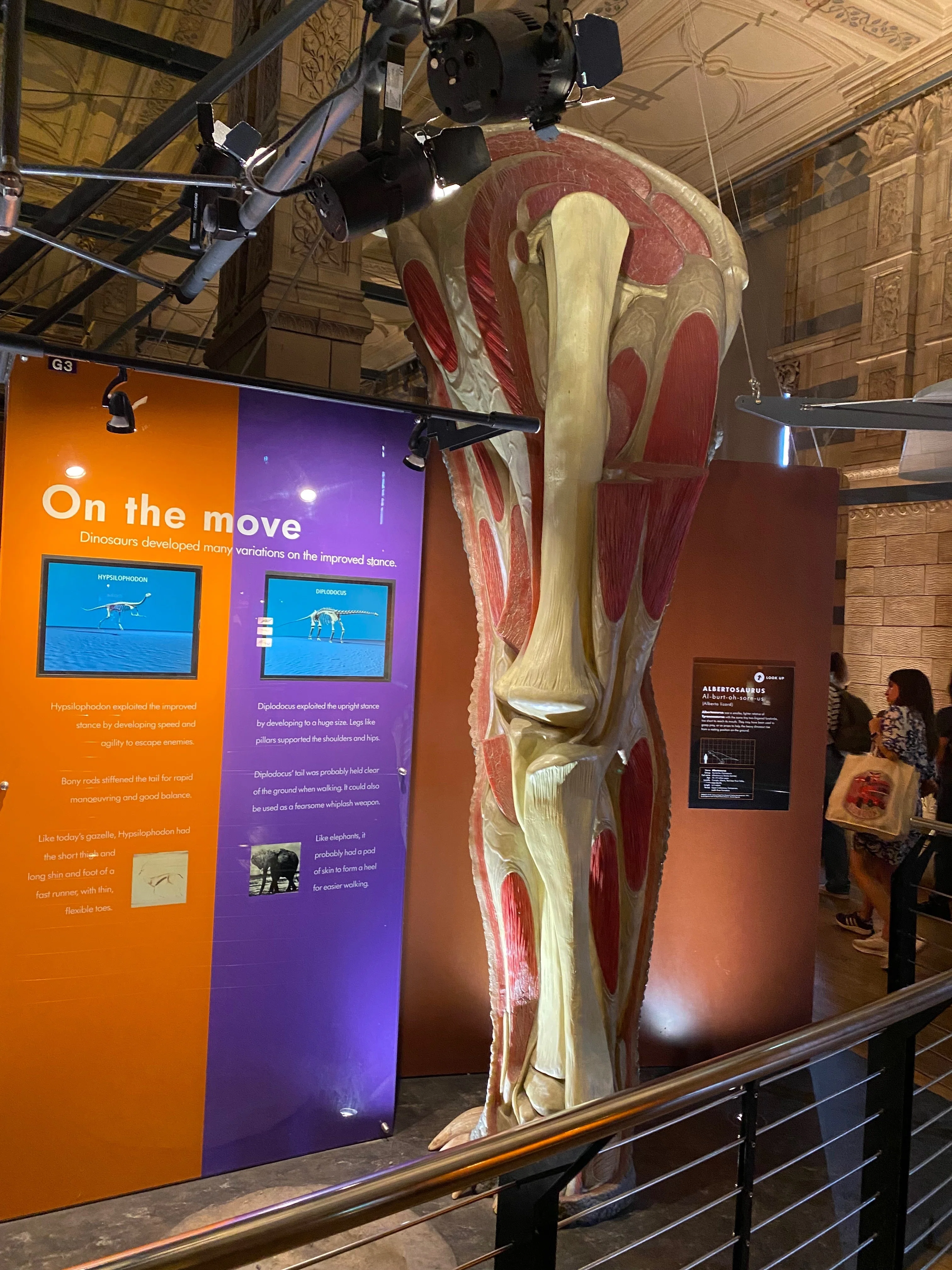 ロンドン自然史博物館(National History Museum)｜ABYSS