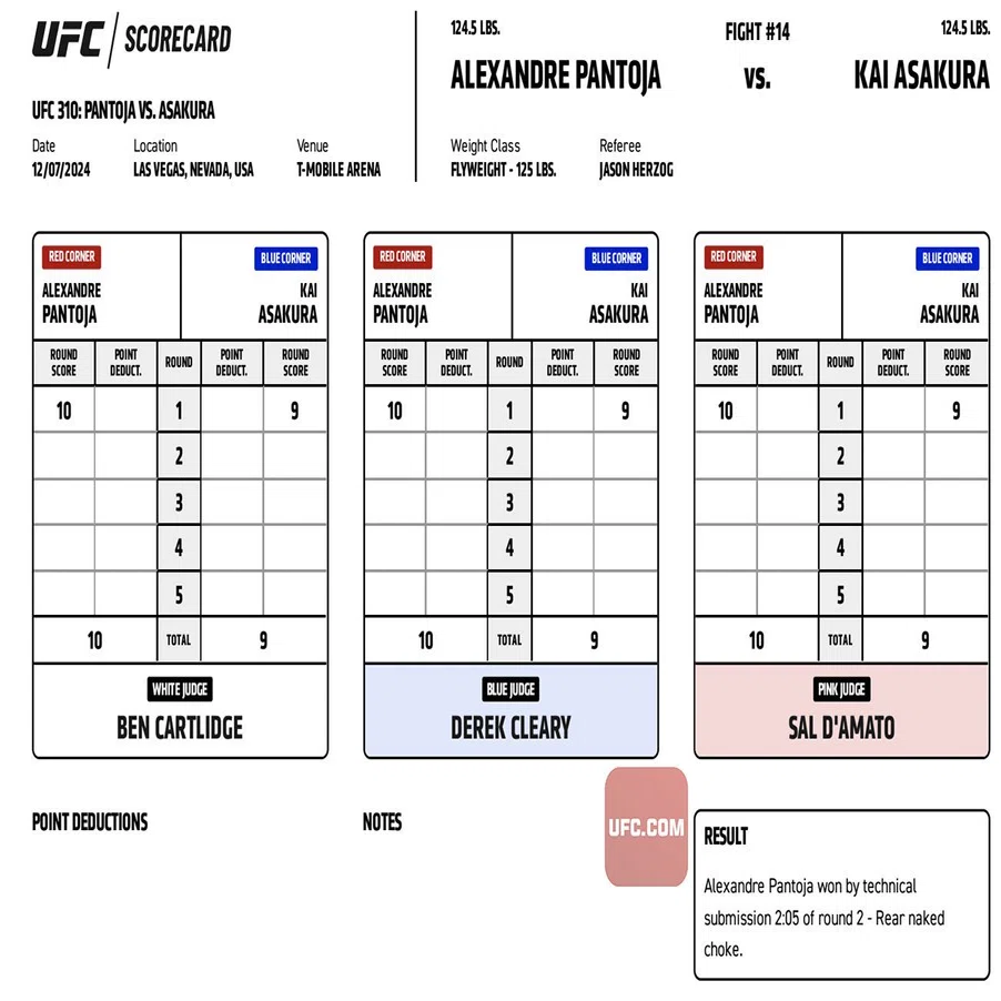 227 海物語（UFC310 アレシャンドレ・パントージャvs.朝倉海