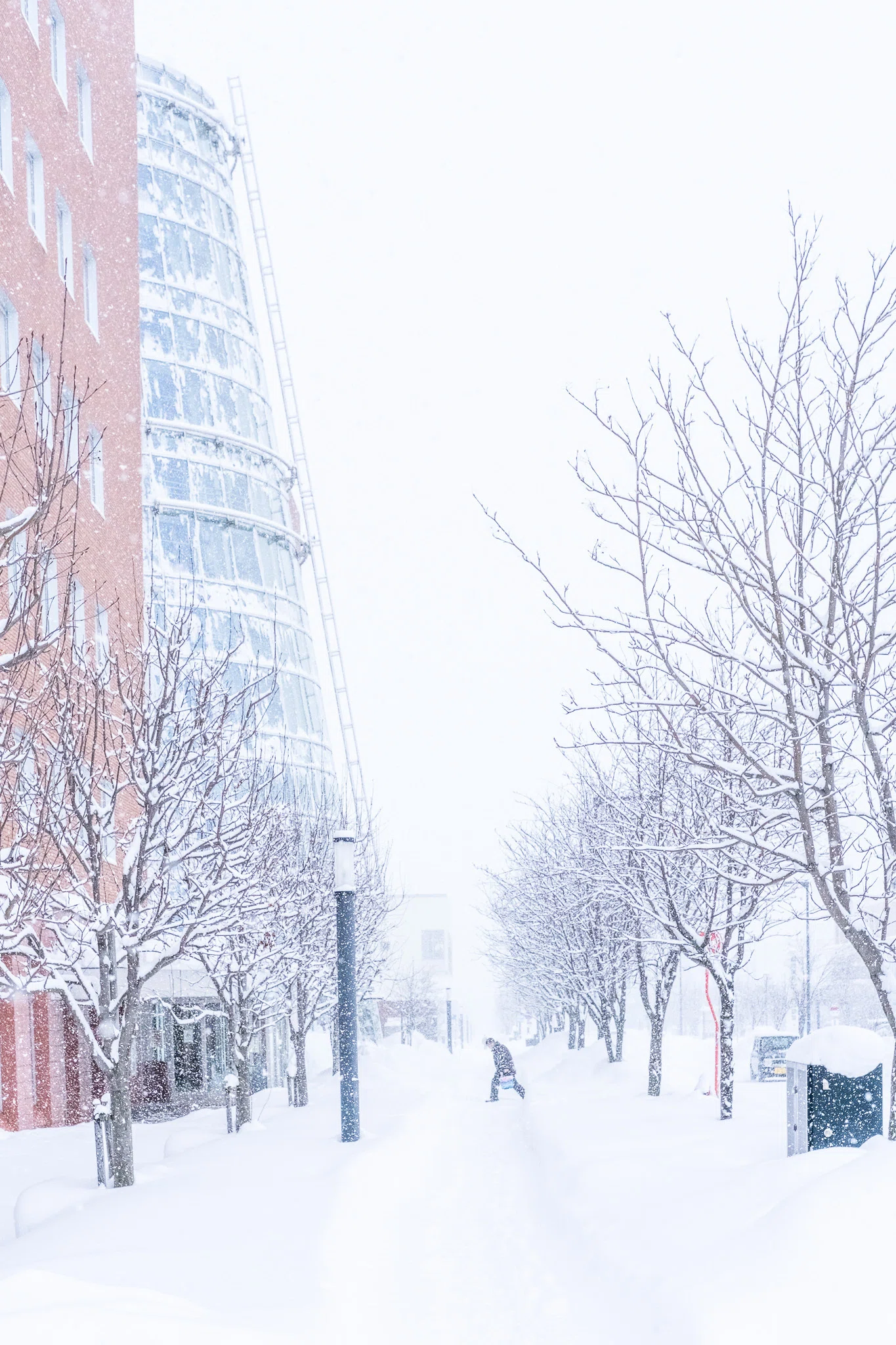 初めての雪景色。北海道 × X-Pro3｜yui_photography