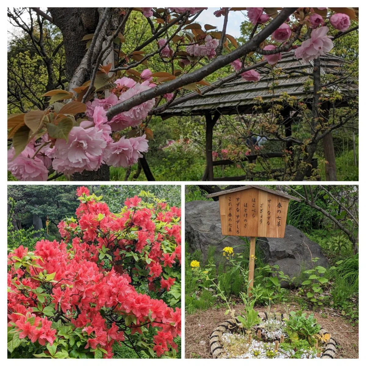 向島百花園