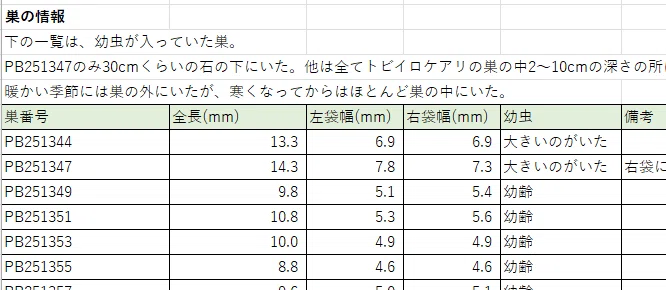マダラマルハヒロズコガの幼虫の巣の大きさ