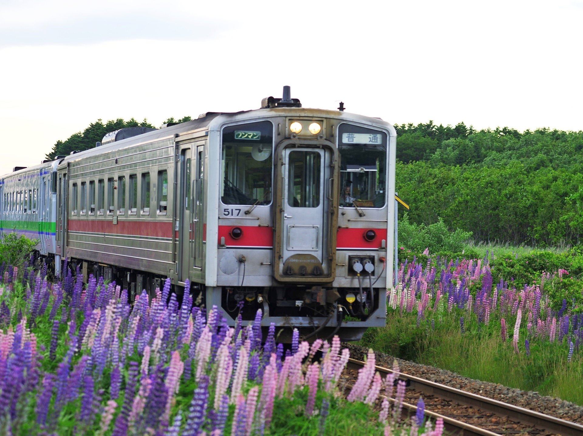 釧網（せんもう）本線 止別（やむべつ）駅 ～撮影旅行よもやま話集