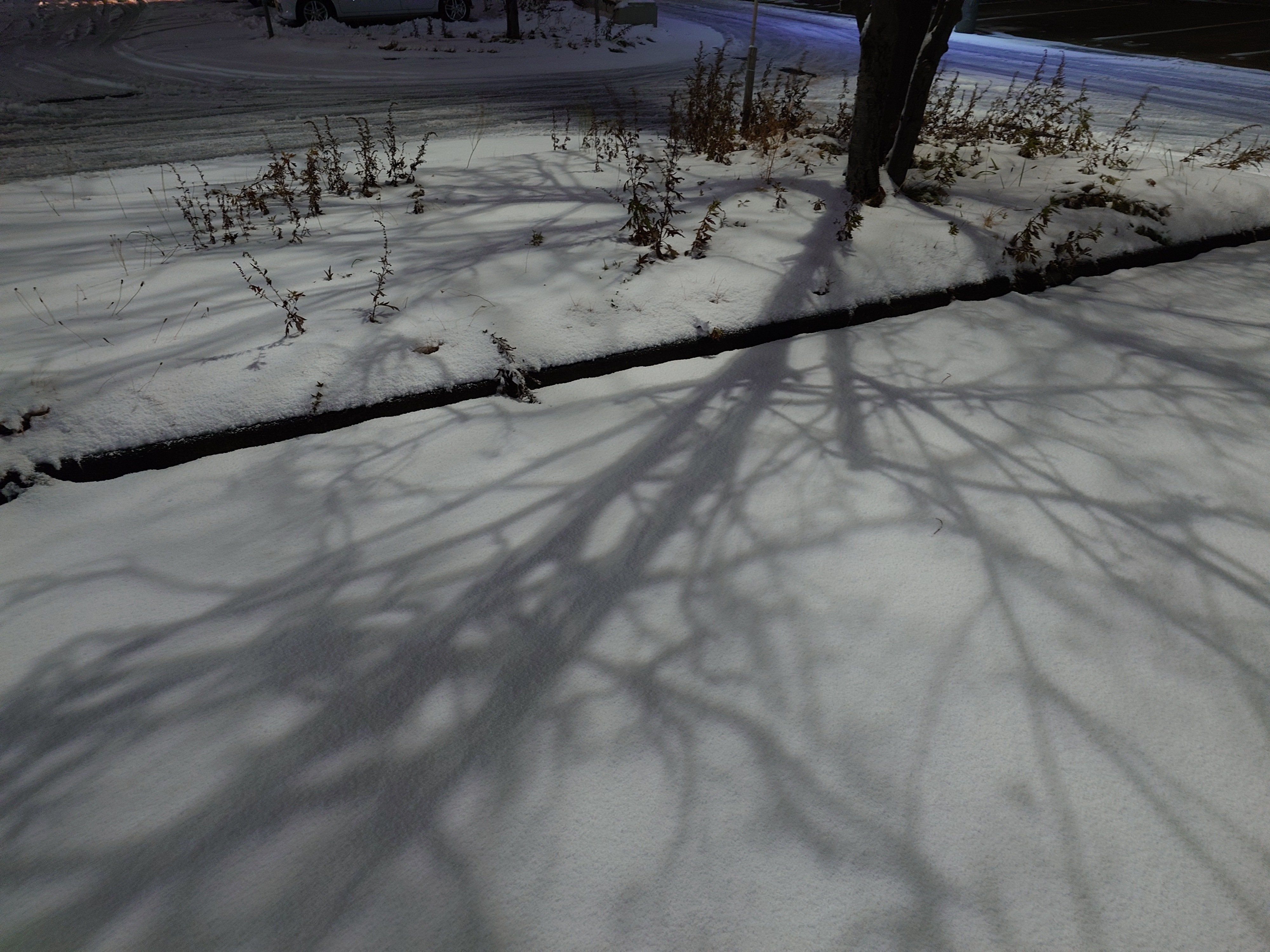 一面銀世界が訪れる過酷な冬の始まり｜緋奈凛