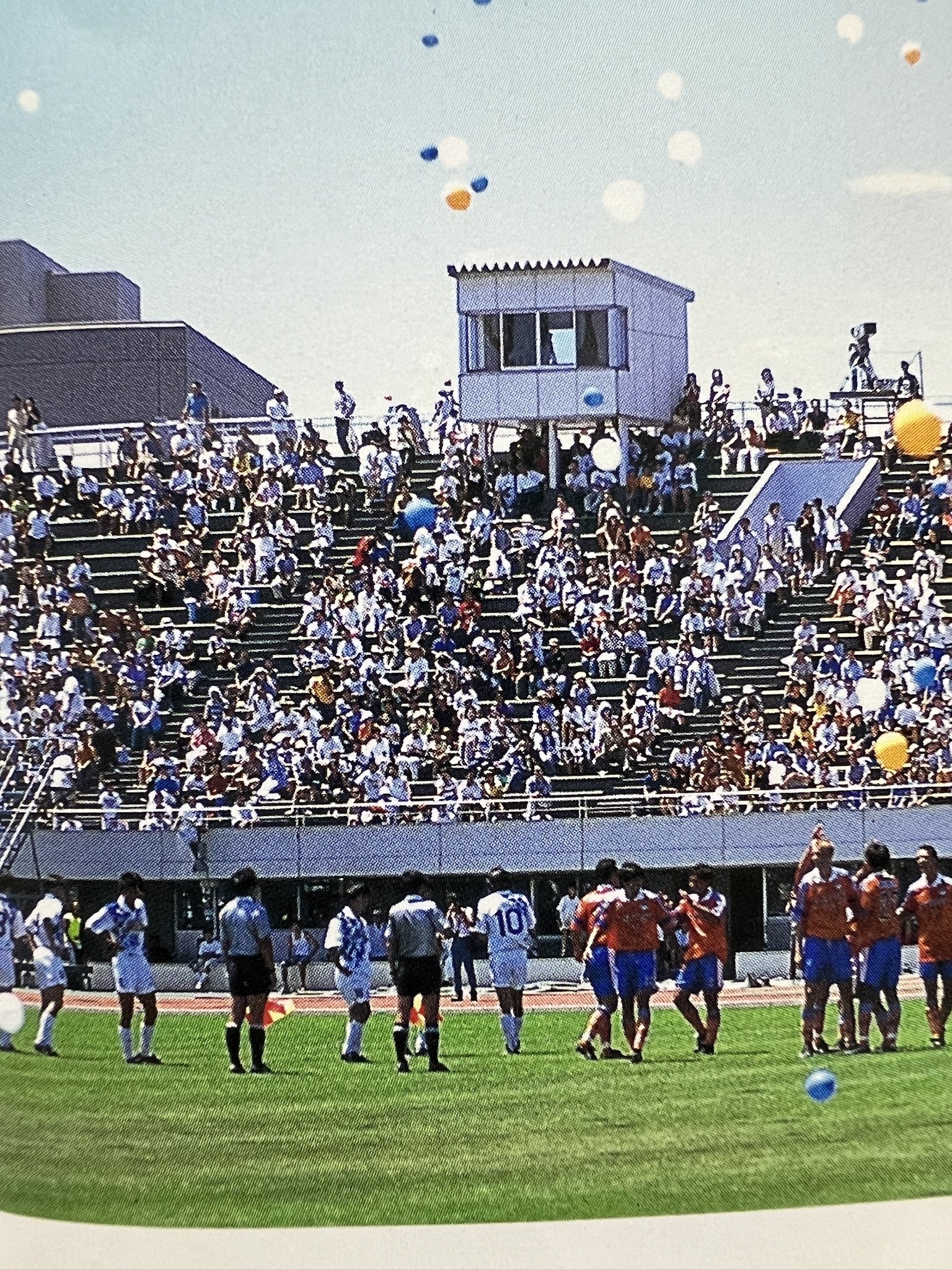 アルビレオ新潟　フラッグ　希少　プレミア　アルビレックス　サッカー 激レア！ 未使用品アルビレオ新潟Sフラッグ アルビレックス新潟 横断幕