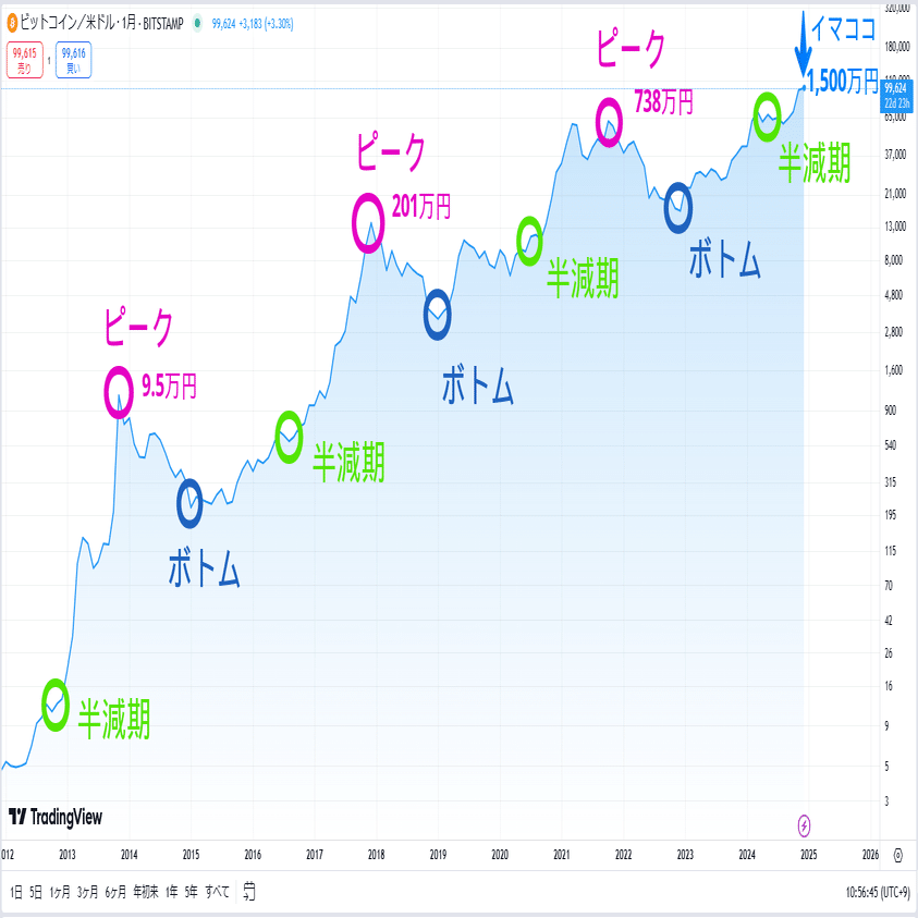 最新AI「o1」に2025年のBTC価格予測させてみた【ビットコイン 10万ドル突破&OpenAI「o1」公開記念】｜バーチャル美少女ねむ/Nem⚡メタバース文化エバンジェリスト