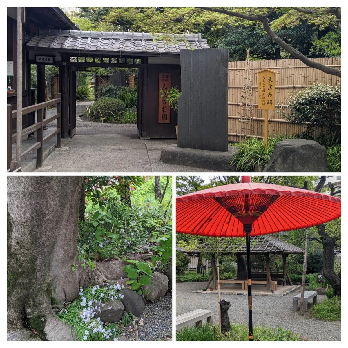 向島百花園