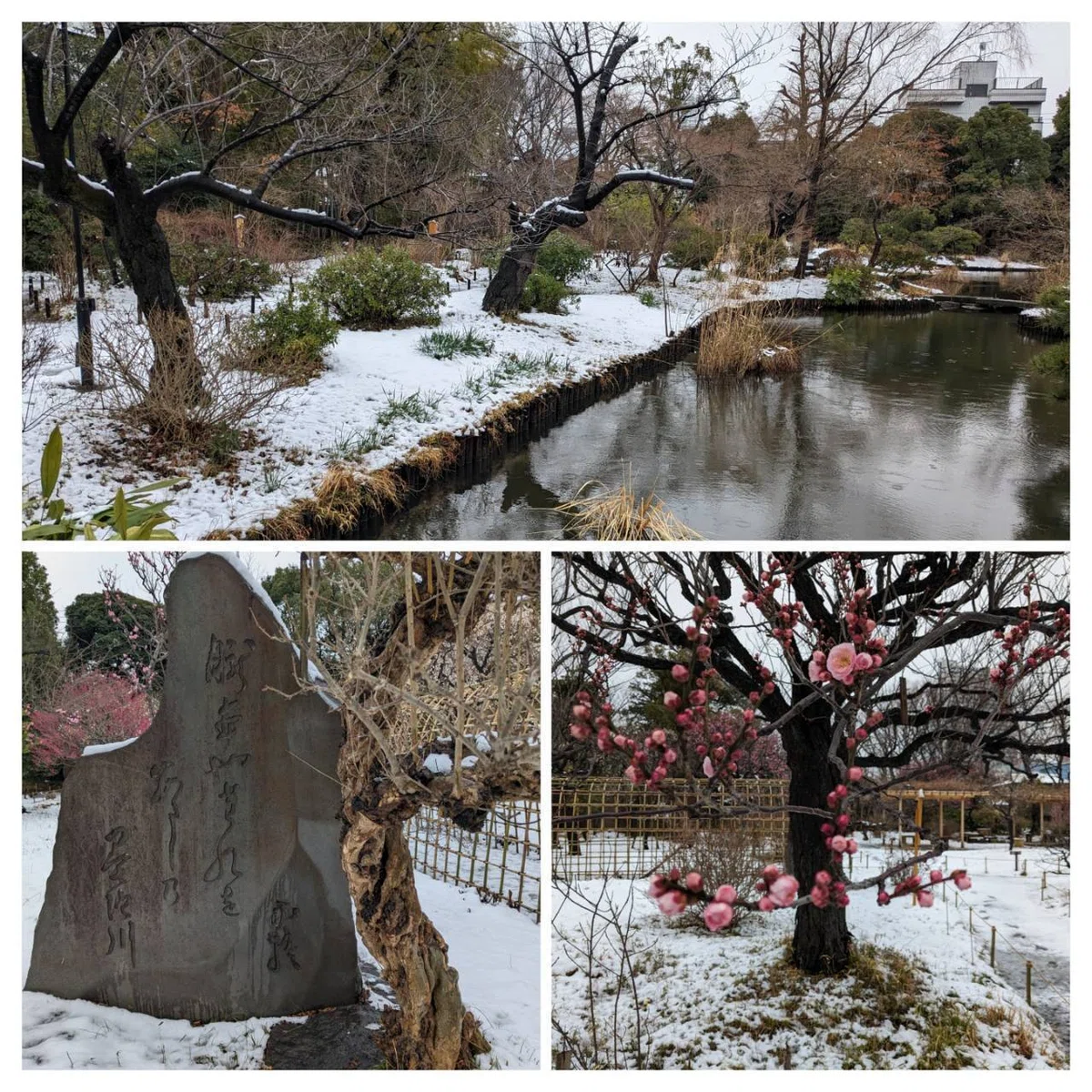 向島百花園