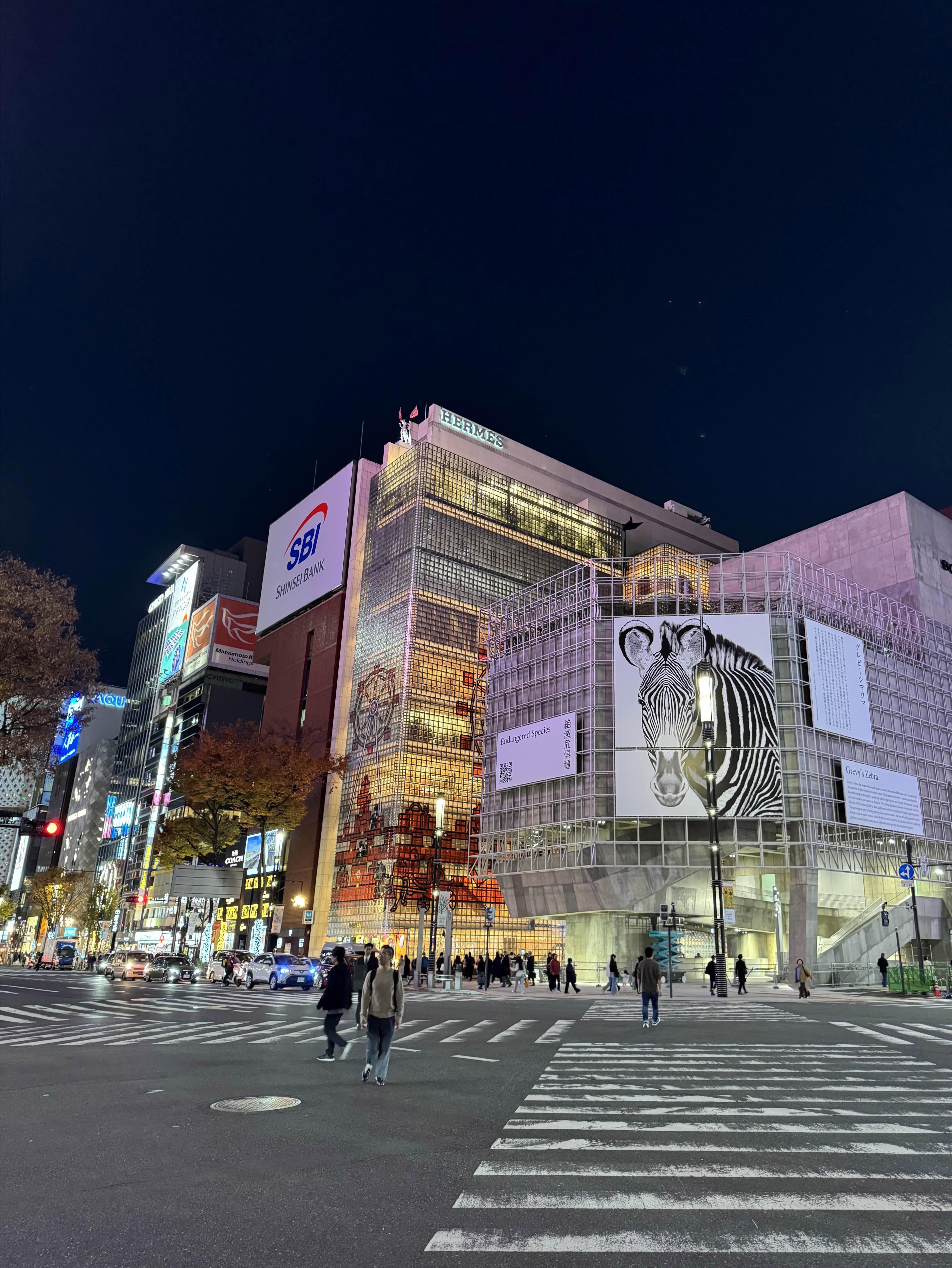 美術展2024#91】自画像：Reflections＠Gallery58｜mata