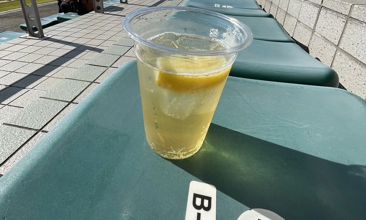 コメタのハイボール