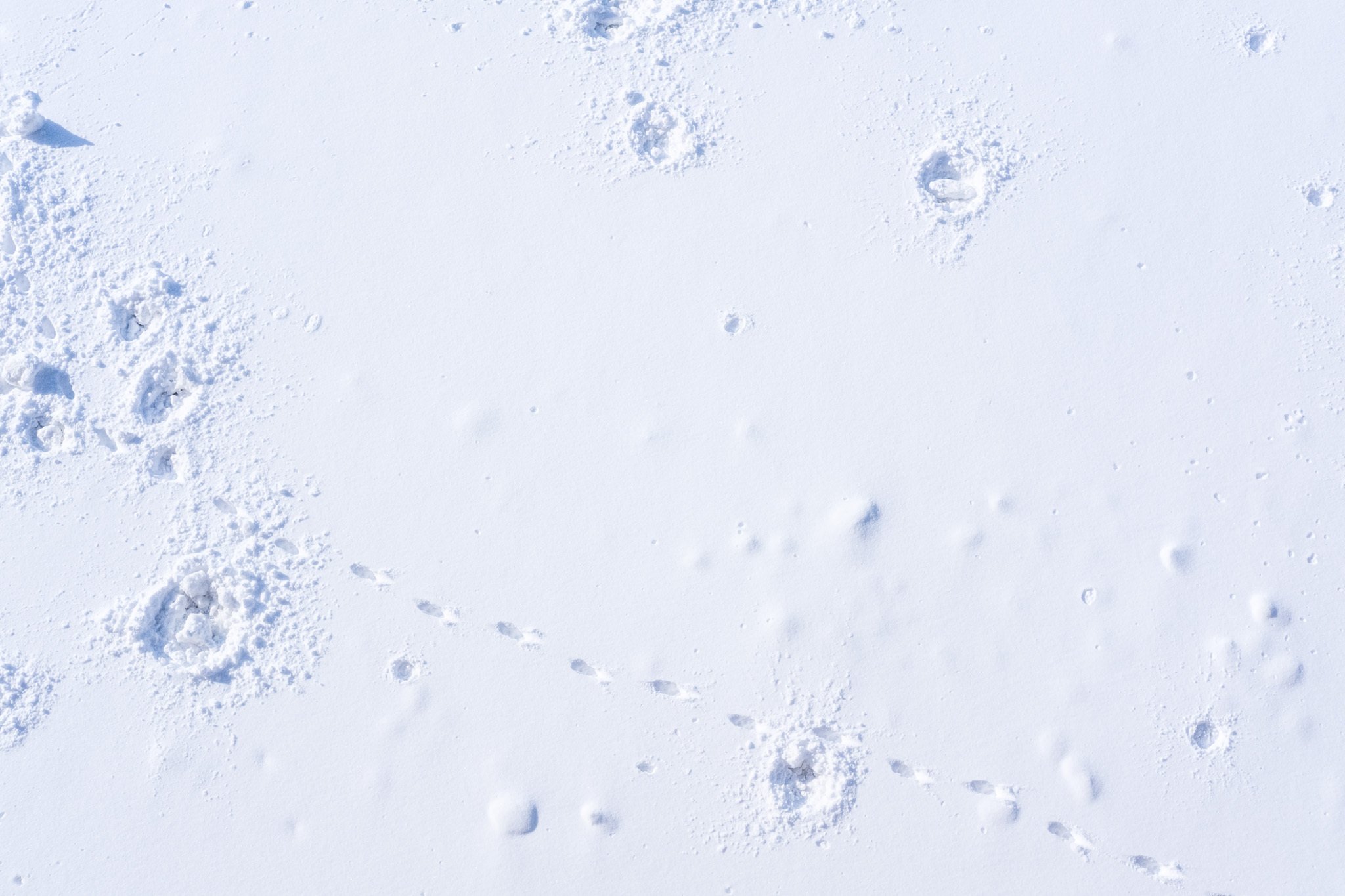 初めての雪景色。北海道 × X-Pro3｜yui_photography