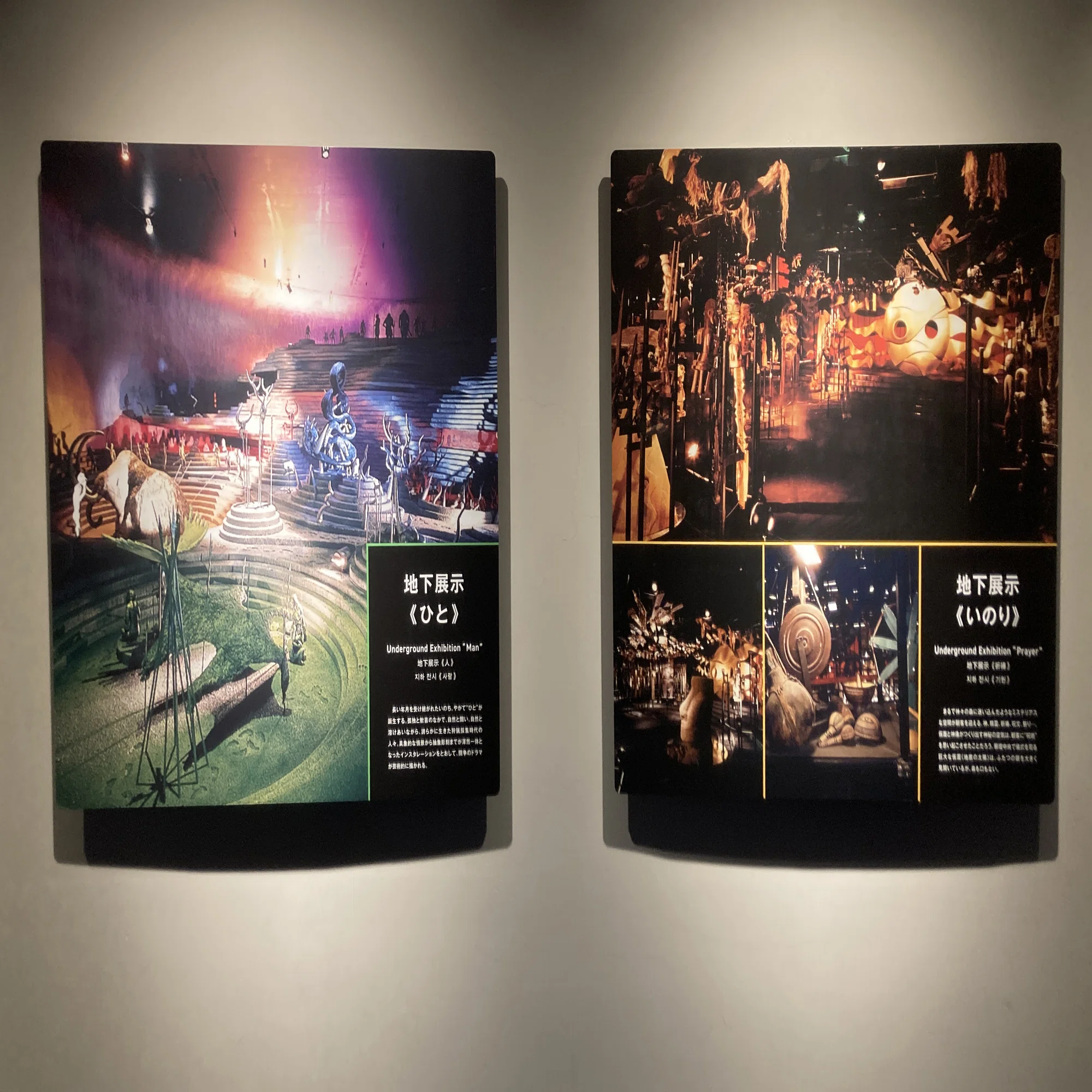 未来の国宝〈太陽の塔〉内部見学 作者は岡本太郎 EXPO