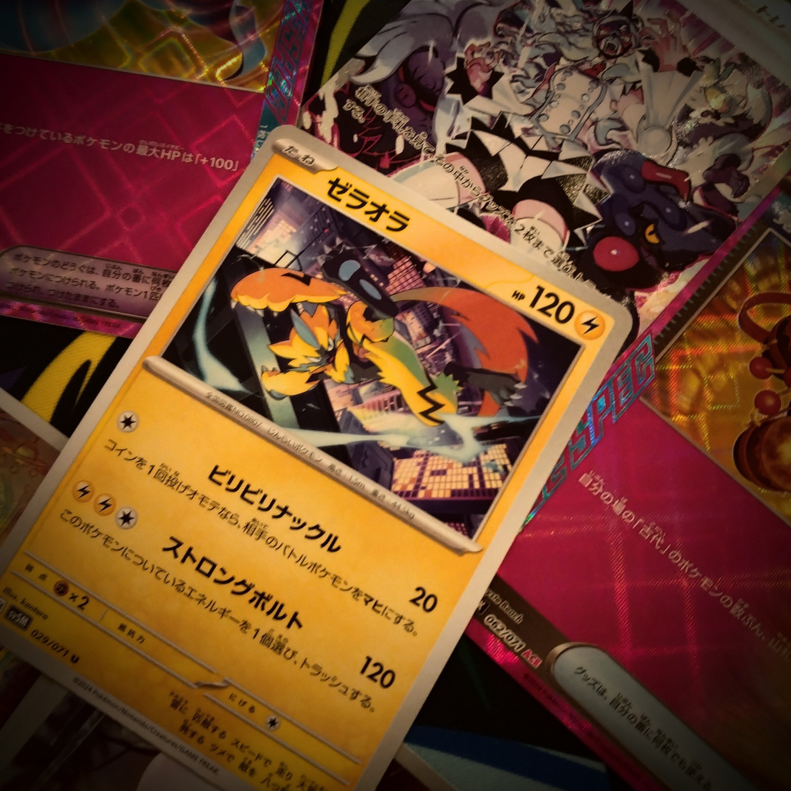 ポケカAdvent Calendar2024♡9日目】ポケカ歴3年目の2024年総ざらい