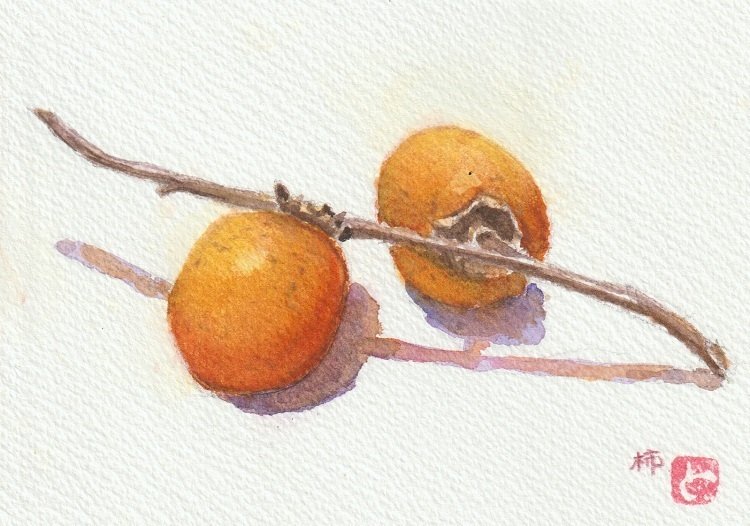 柿」2点描きました｜水彩スケッチ帖