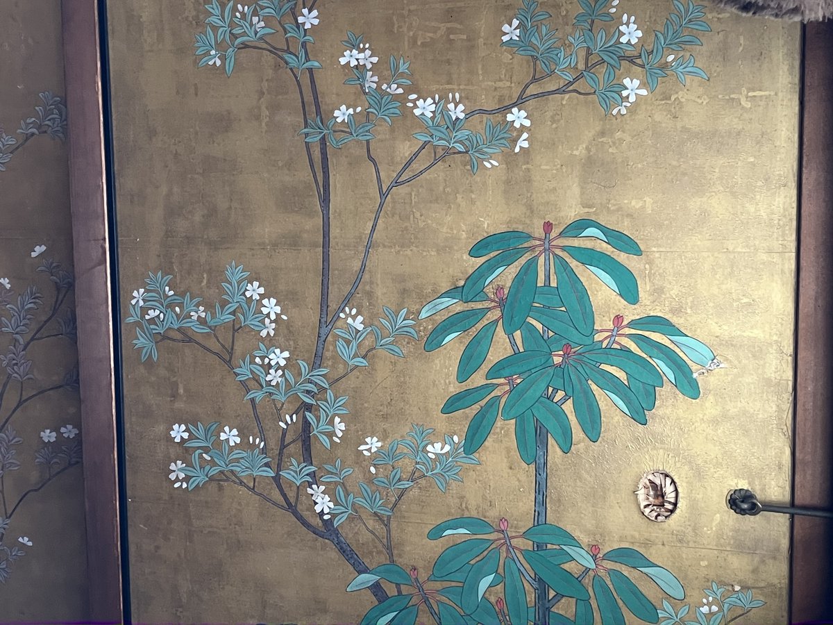 柳松図 トーハク特別展の前に大覚寺の襖絵を楽しむ/京都市右京区｜らら