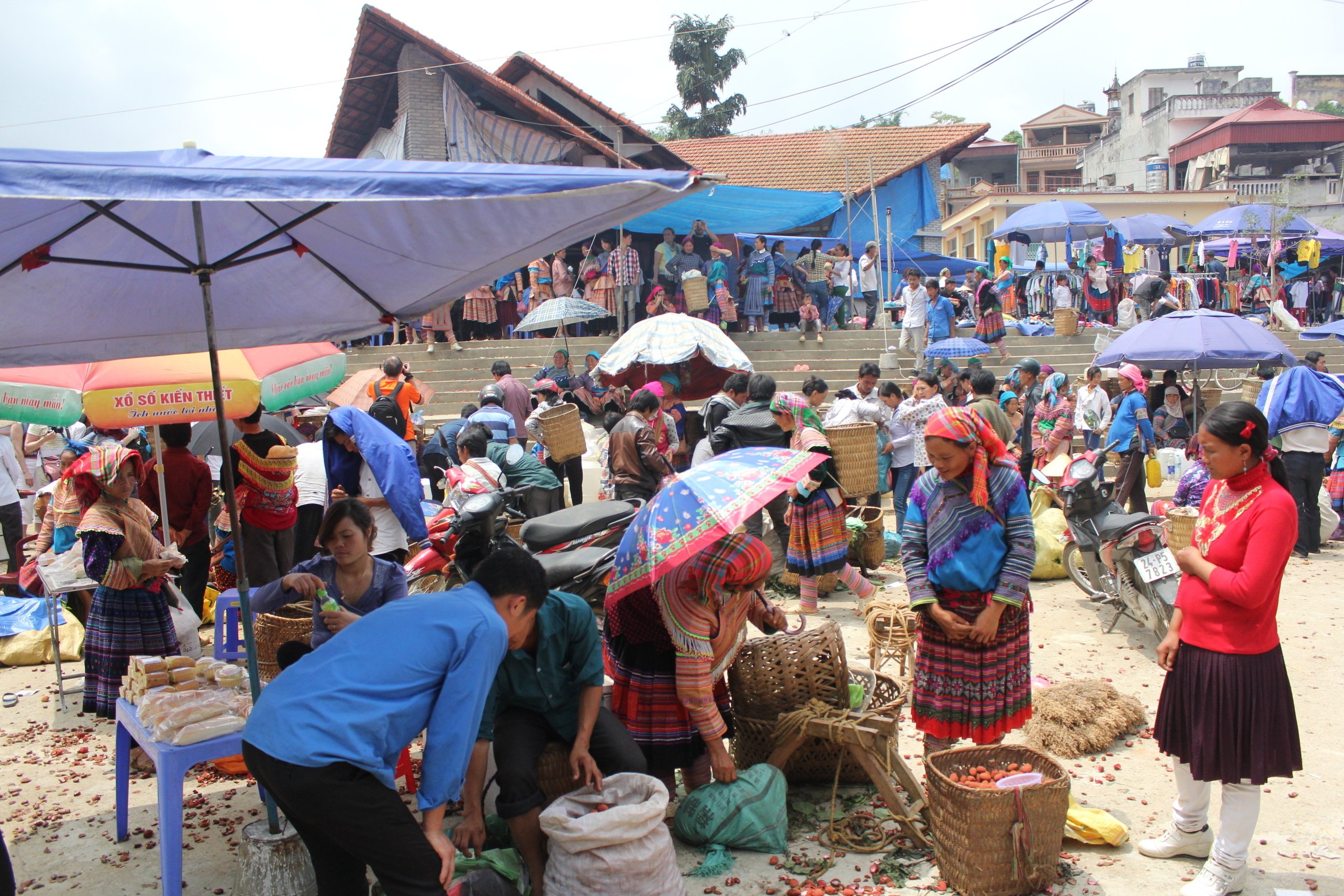 22 ベトナム最高峰に登った話｜オカザキッチン
