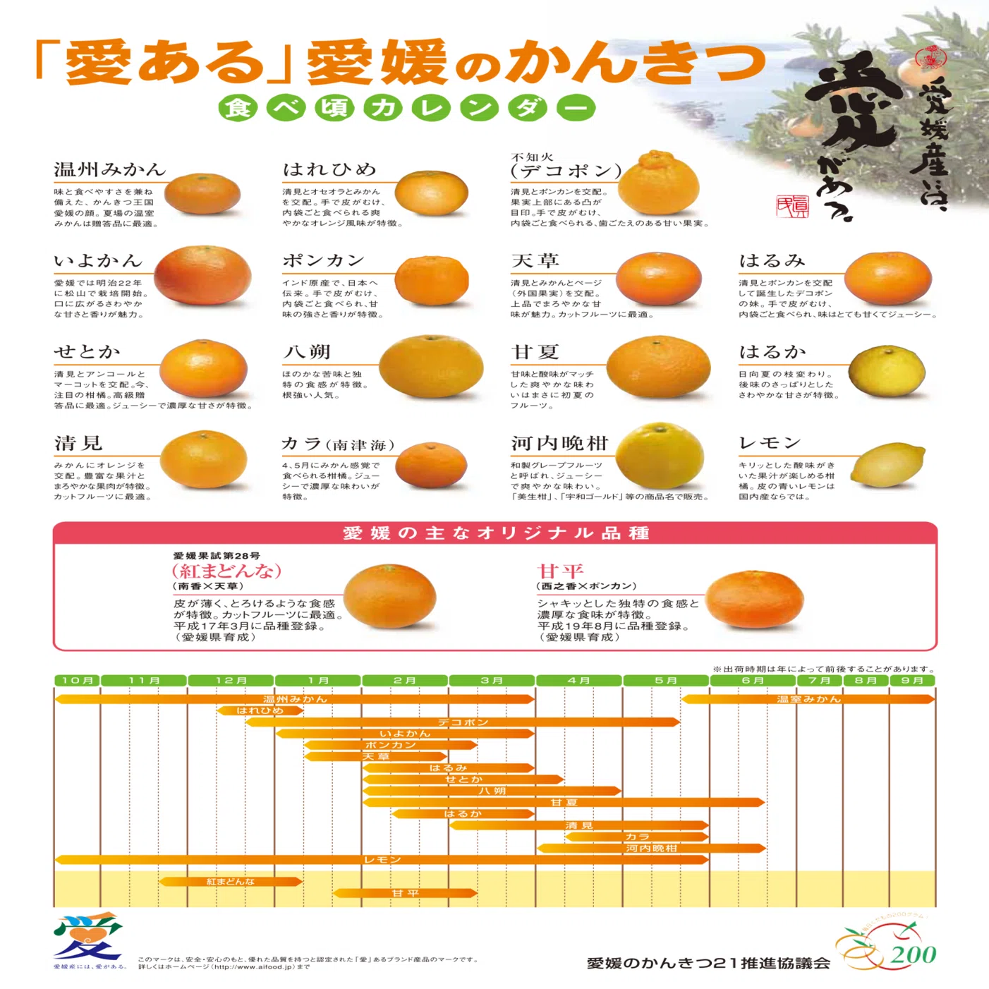 紅マドンナ(愛果28号)｜カワカミ ユキヲ