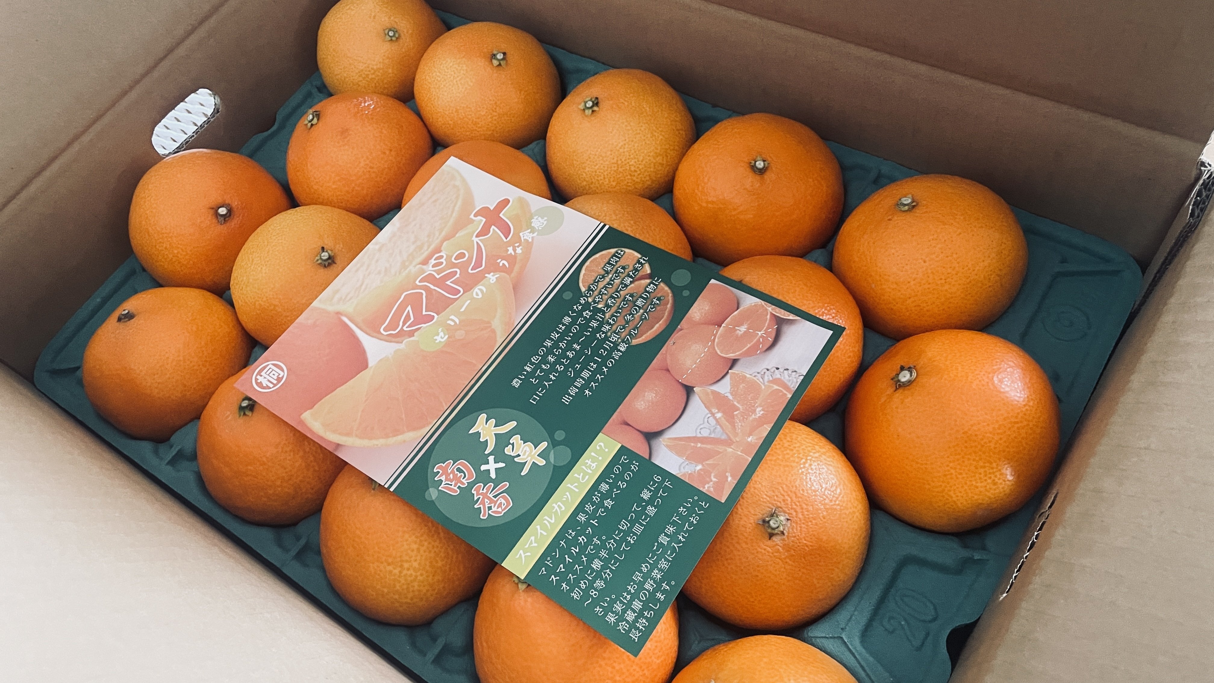 紅マドンナ(愛果28号)|カワカミ ユキヲ 紅マドンナ(愛果28号)|カワカミ ユキヲ