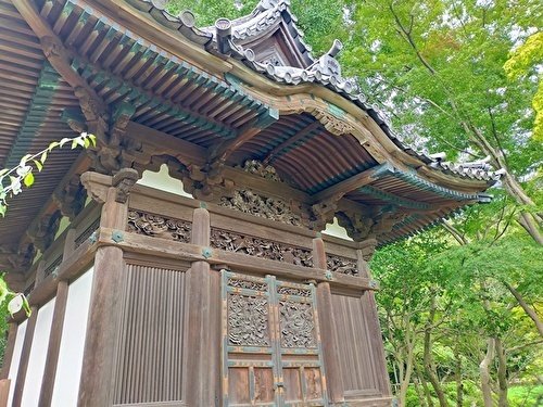 👣日本民家園・三渓園 川崎・横浜めぐり｜マリナデシコ