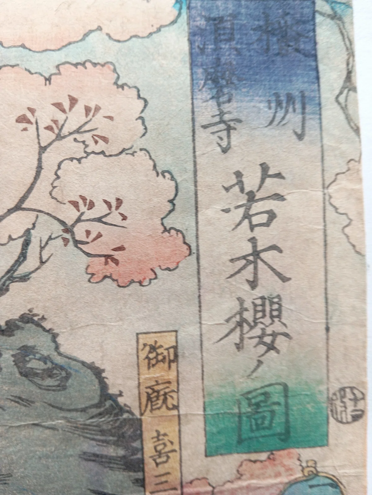 摂州須磨寺 若木桜ノ図｜月岡芳年コレクター