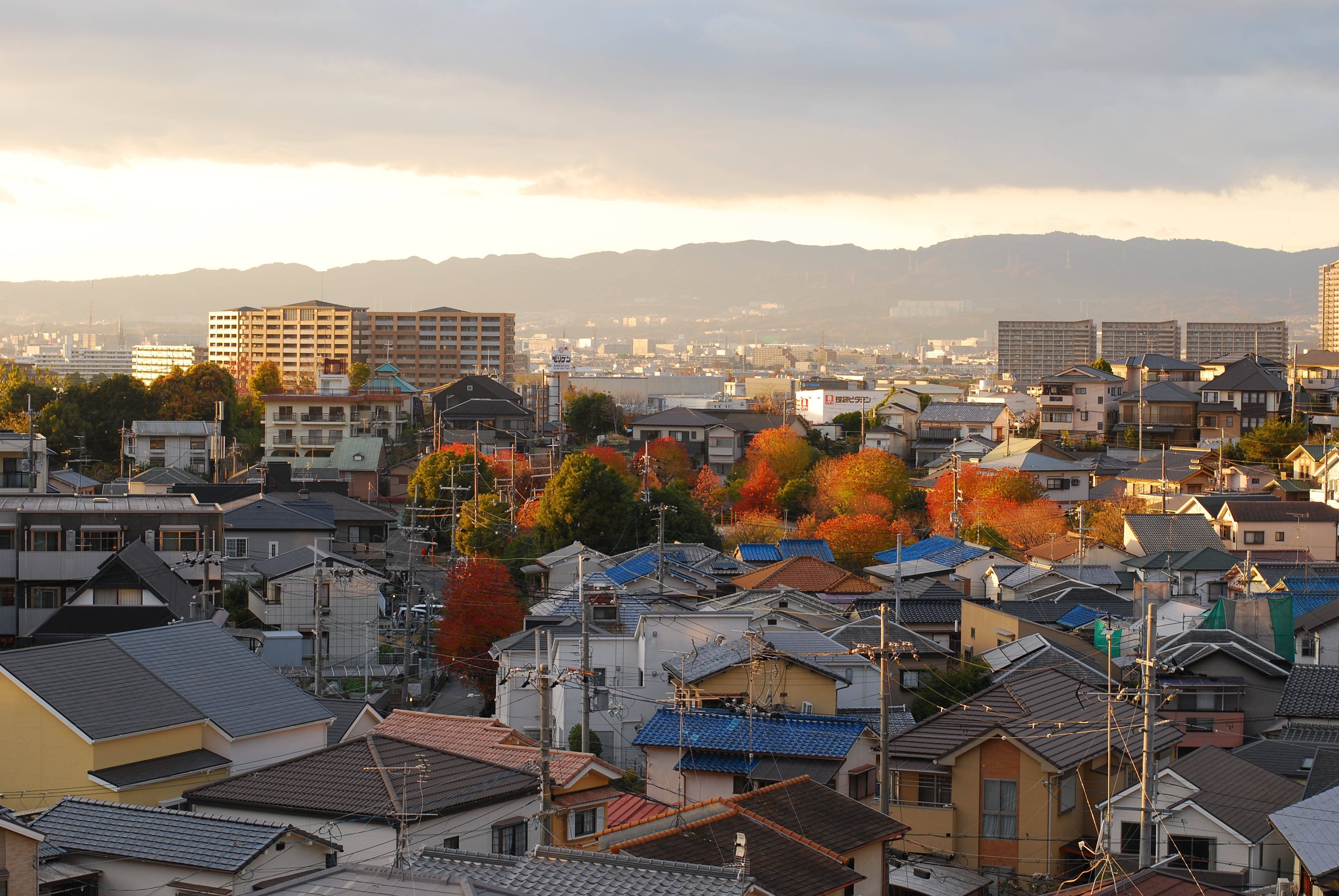 20241210 夕方4時過ぎのベランダから・・・Nikon D40XとAF-S
