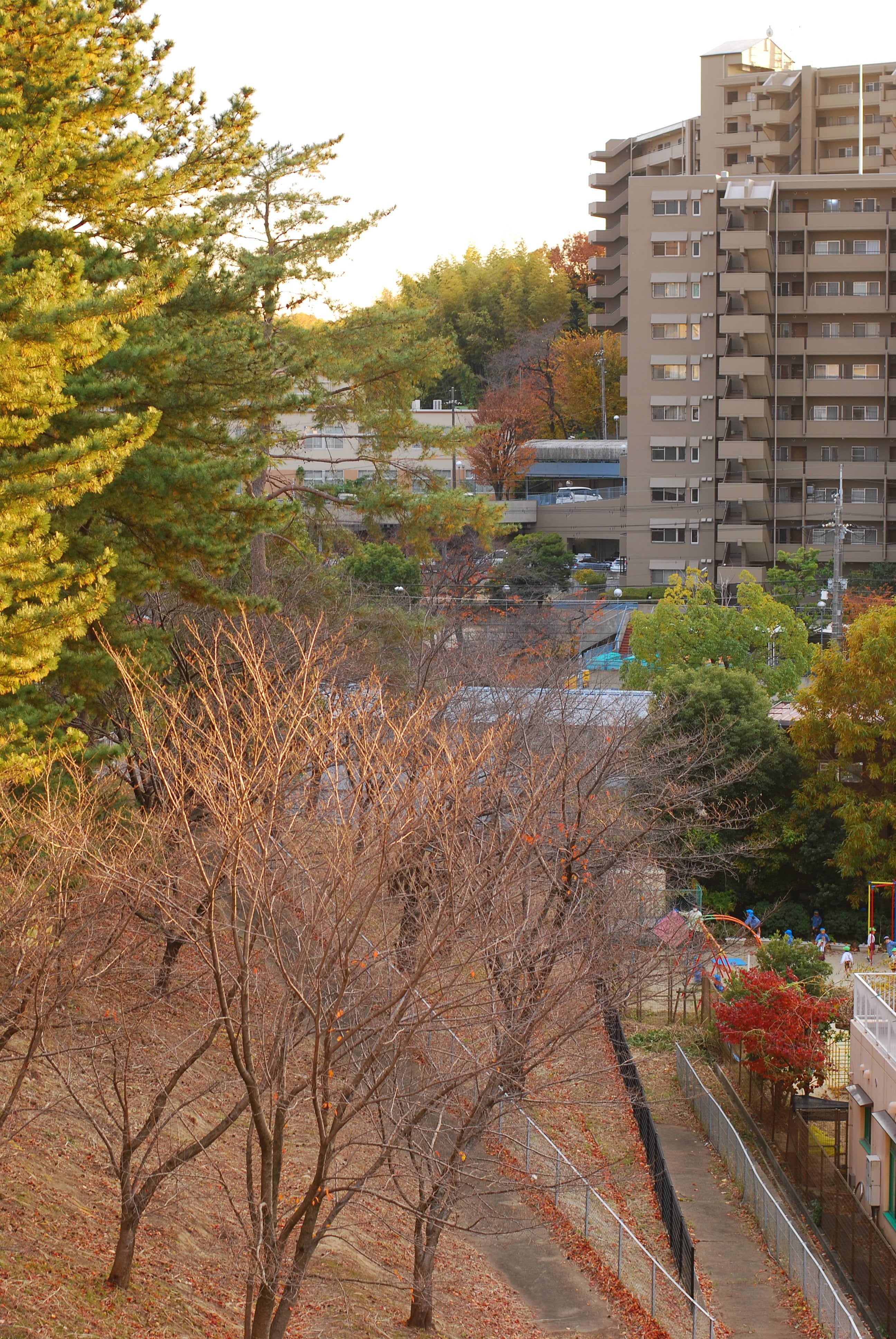 20241210 夕方4時過ぎのベランダから・・・Nikon D40XとAF-S 20241210 夕方4時過ぎのベランダから・・・Nikon D40XとAF-S