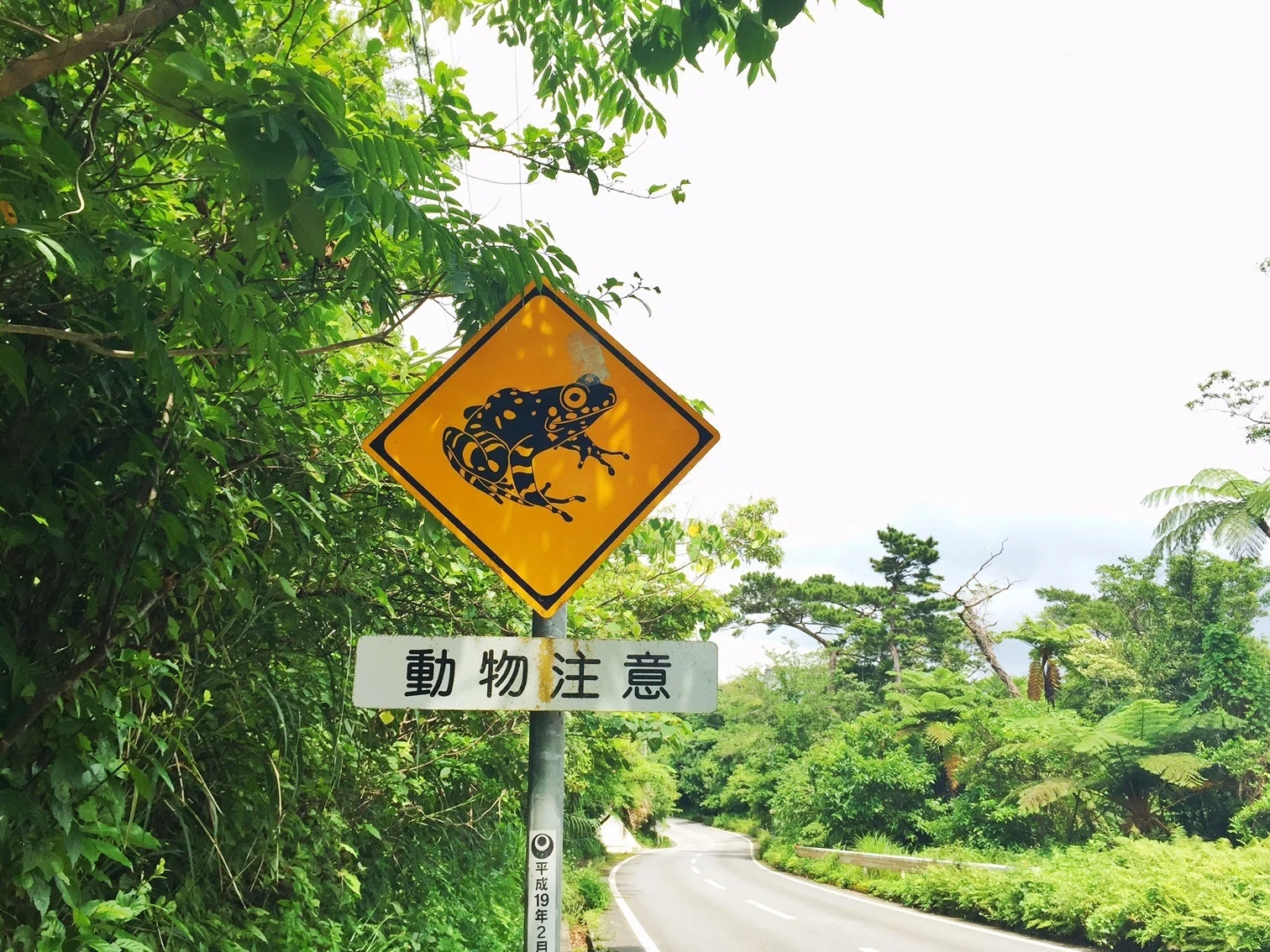 ▪️動物警戒標識#20 カエル注意｜matsukoaki