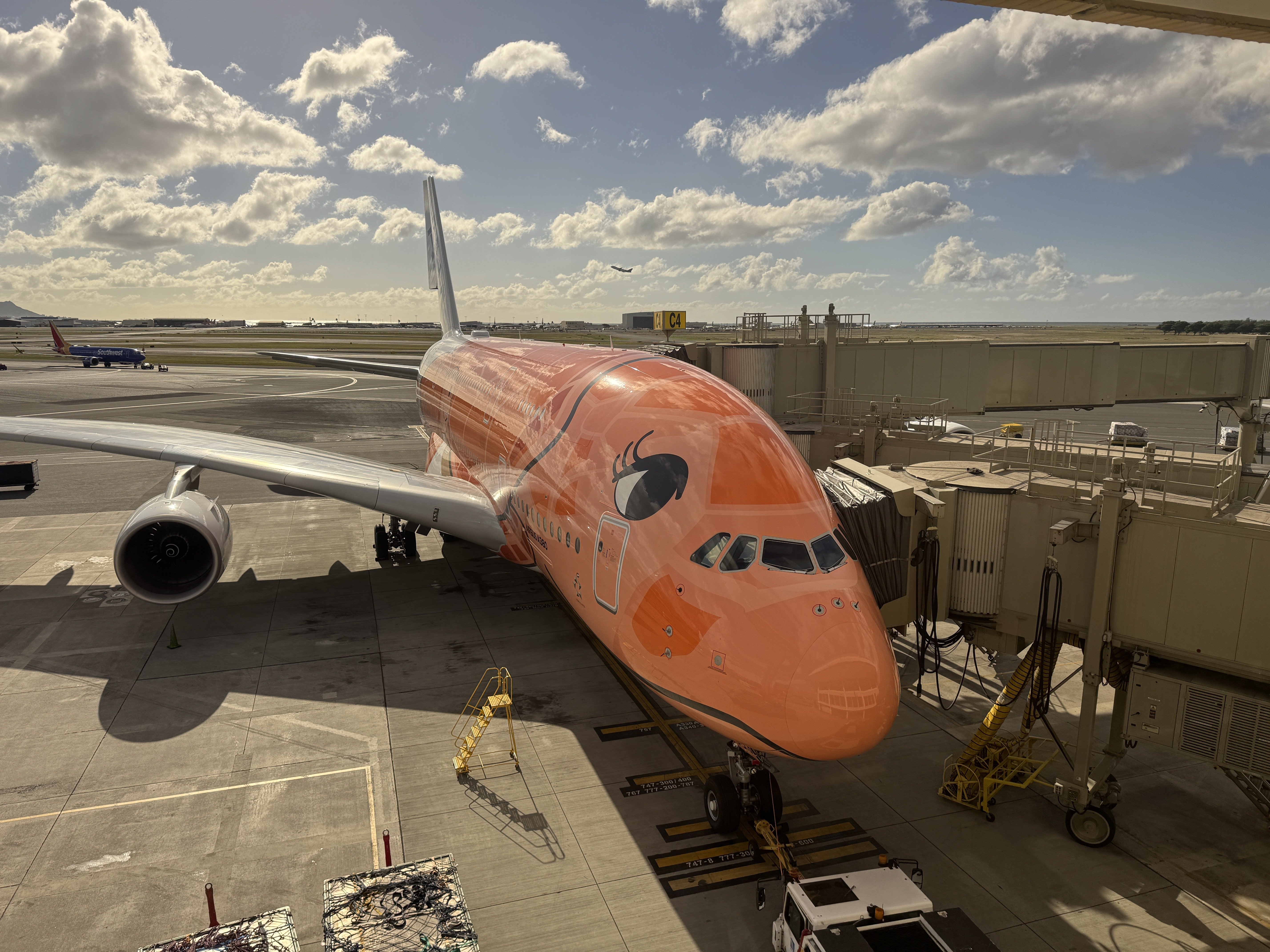ripiさん用! シンガポール航空／+オレンジほぬ ripiさん用! シンガポール航空／+オレンジほぬ