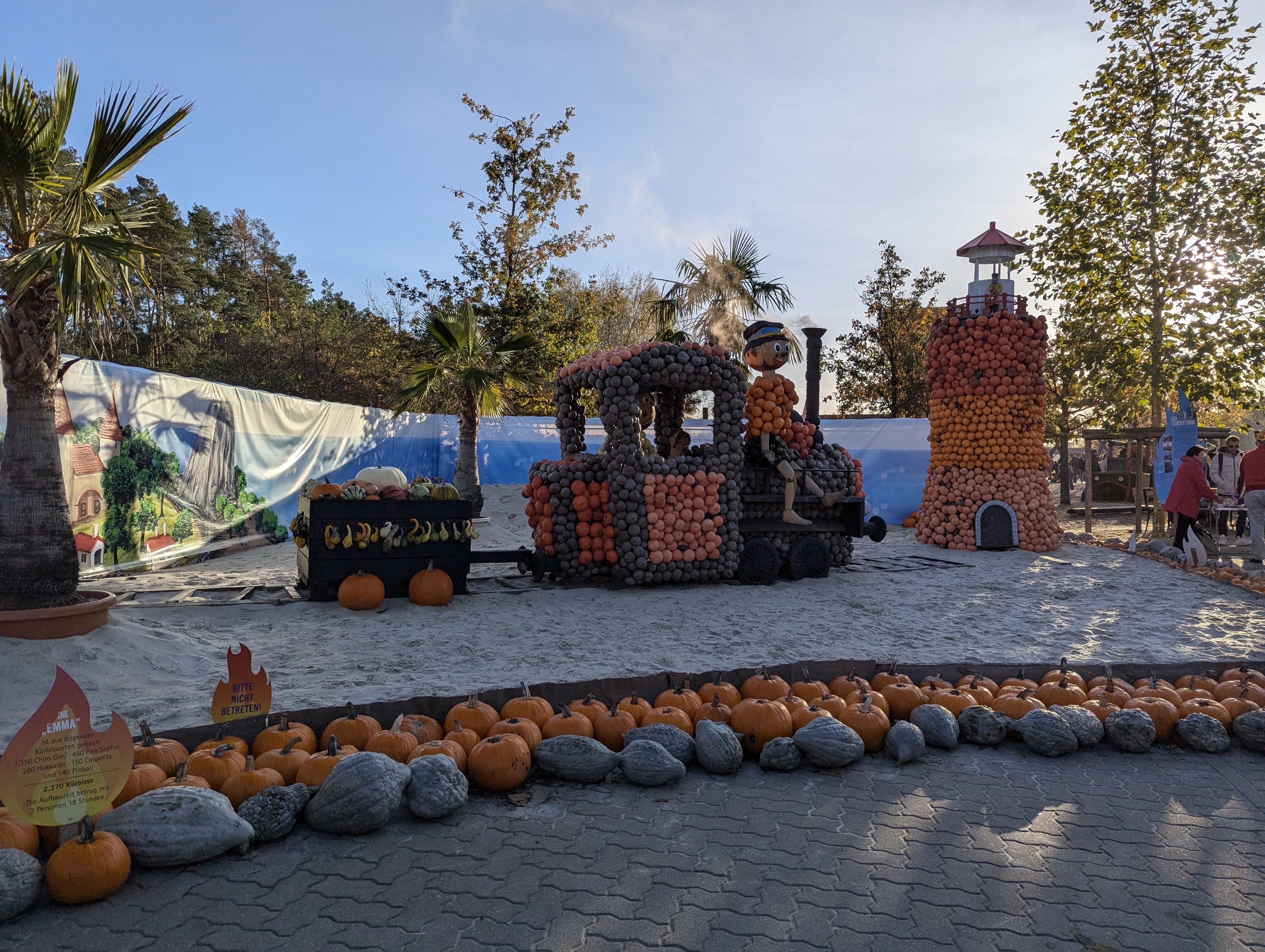 500種類、100000個以上のかぼちゃに出会えるかぼちゃ展🎃｜あかね