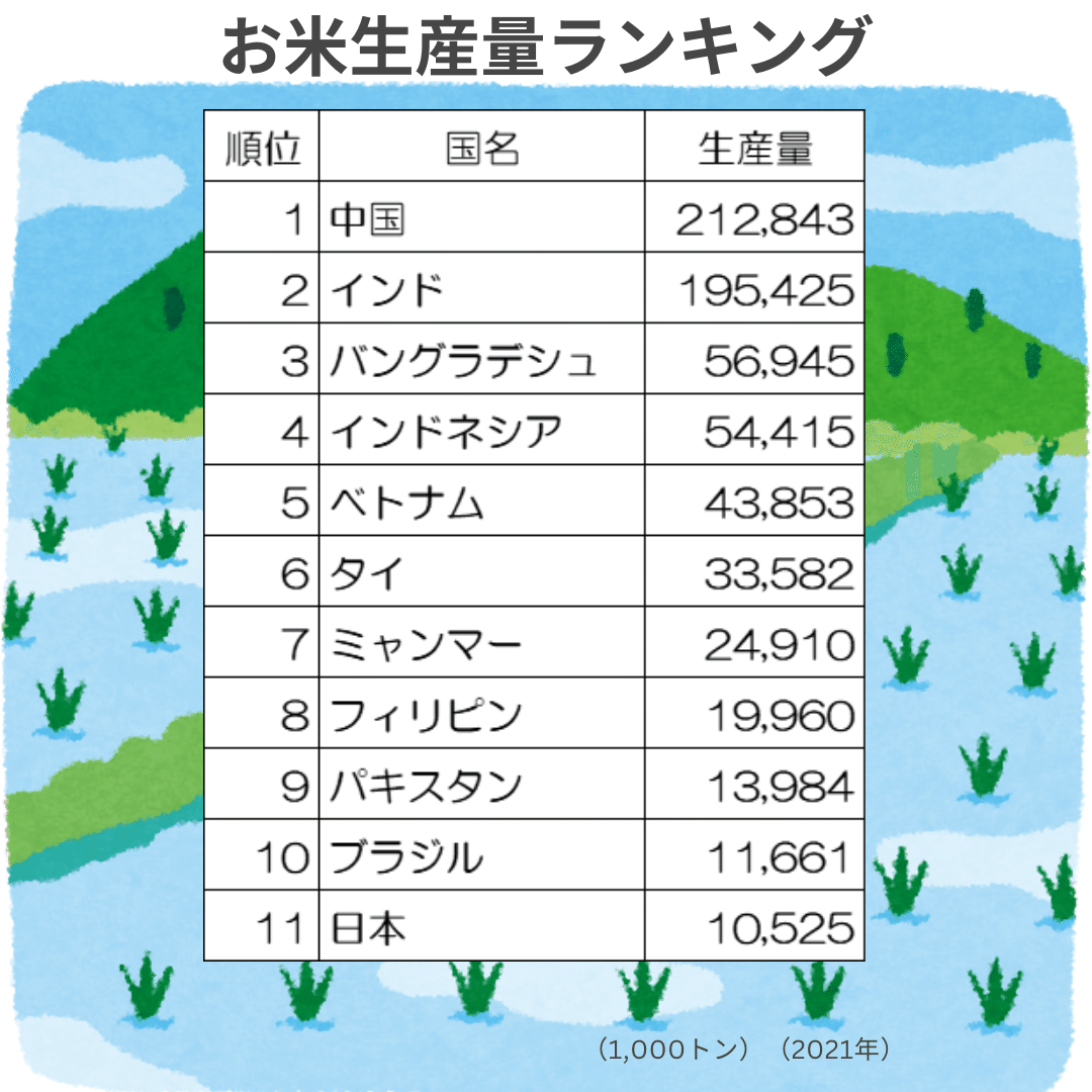 中国のお米の品種とは？中国のブランド米のお話｜明明東京@中国を鉄道で旅する日本人