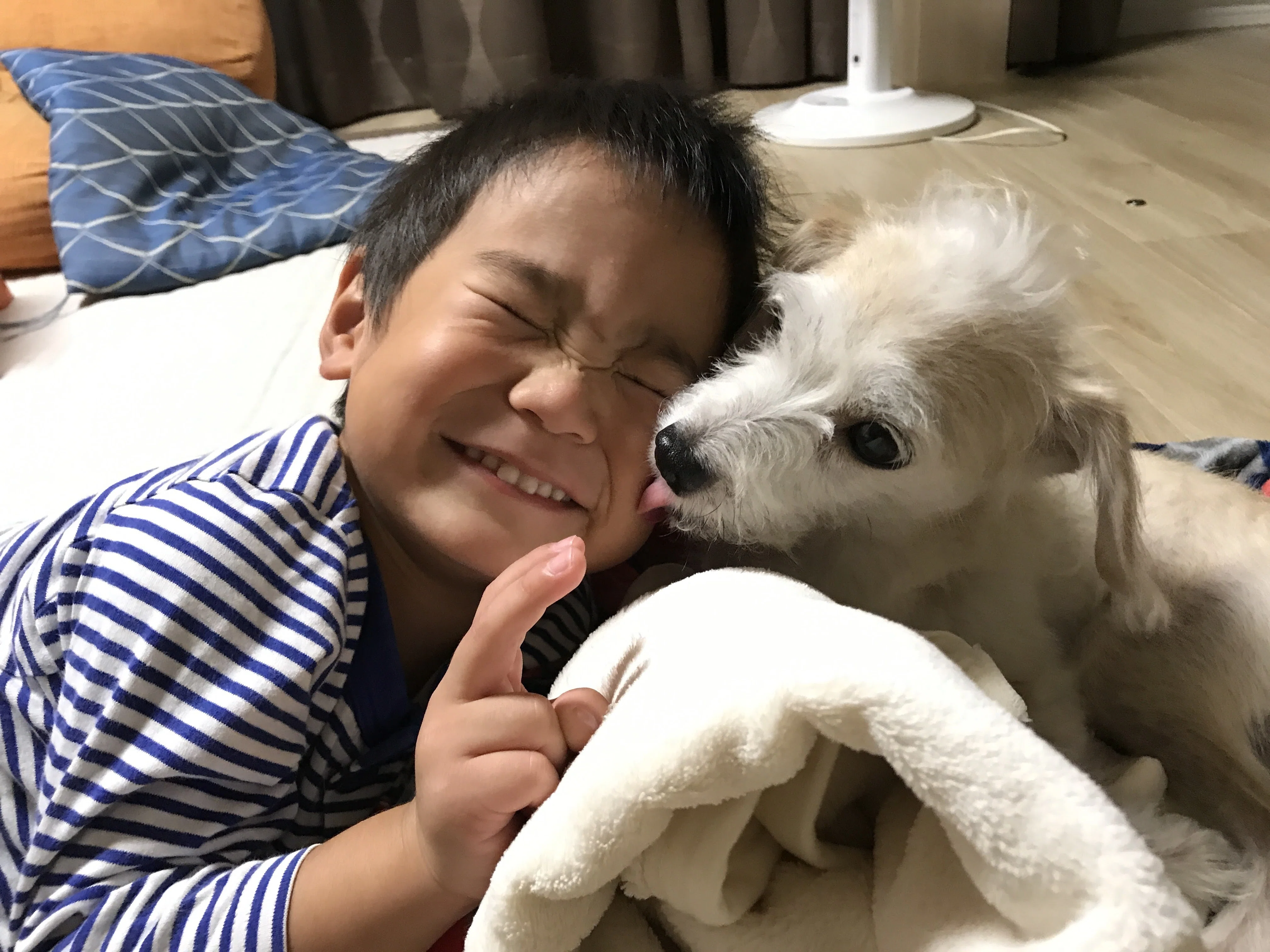子守しながら話を聞いてくれるパパ犬 子守しながら話を聞いてくれるパパ犬 【公式通販】
