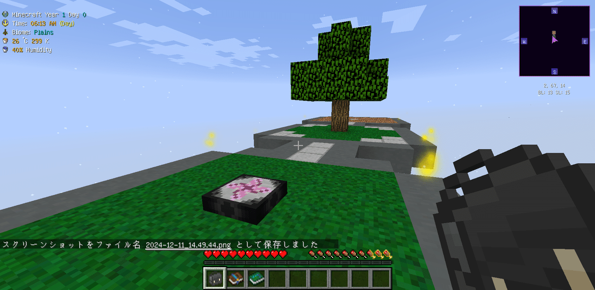 BDSP 1.1.1 SV 1.0.1 マイクラ1.17 Switch本体 NEW Blocks, Fixed Movement And More | Minecraft Snapshot