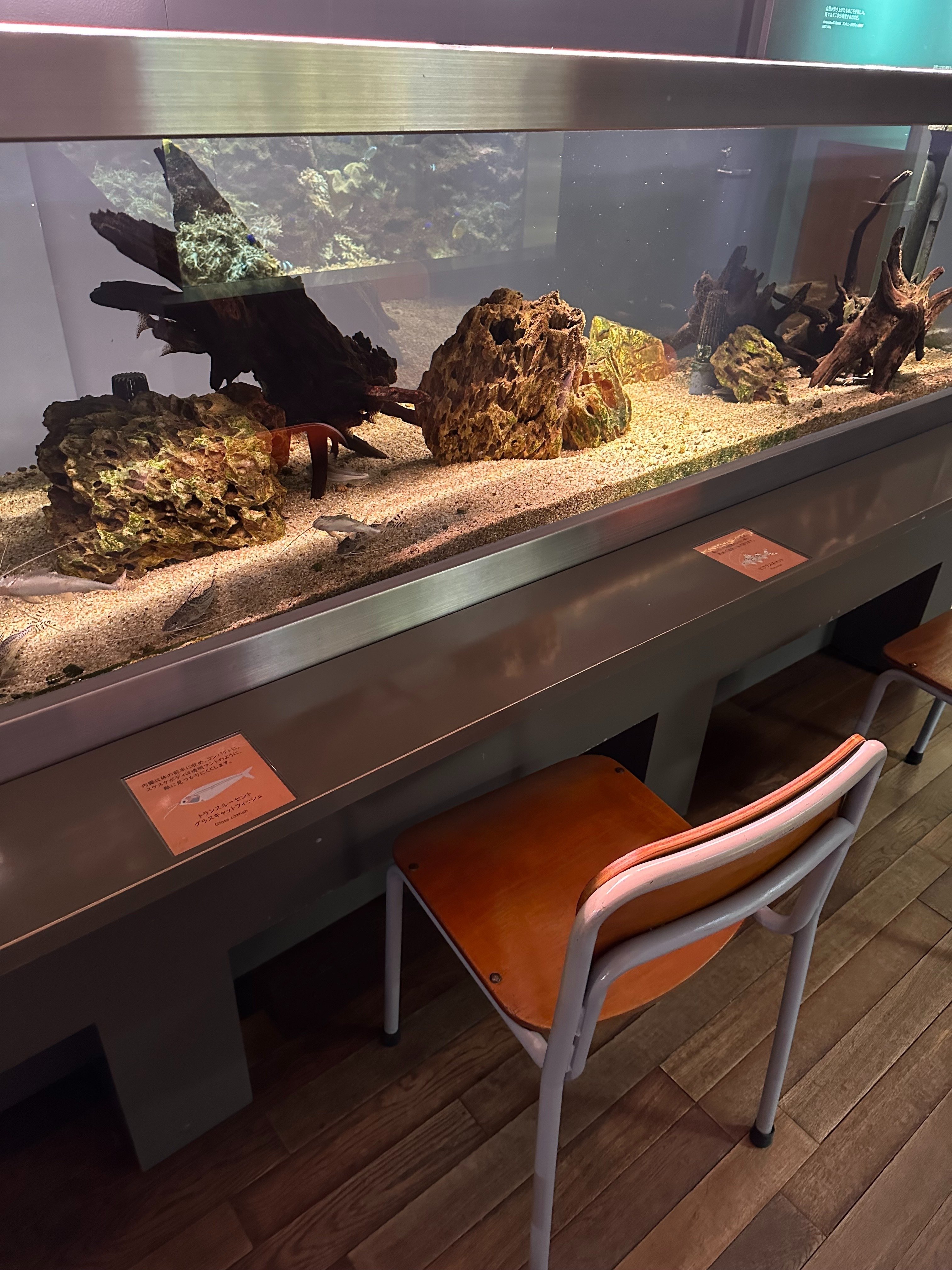 廃校をリノベーションしたエモレジャー施設。～神戸「みなとやま水族館