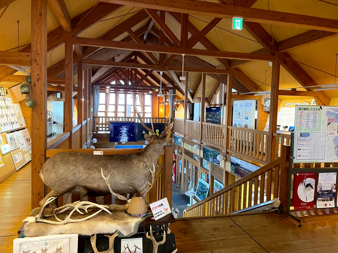🇯🇵 北海道#7】100年後には沈んでるかもしれない野付半島へ行ってみた