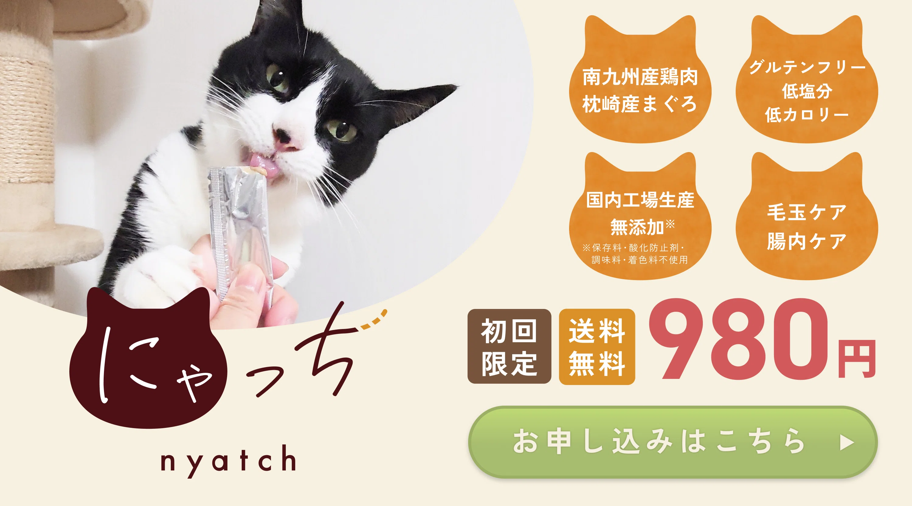 罪悪感ゼロの猫ちゃんピューレ「にゃっち」の開発ストーリー｜愛犬愛猫