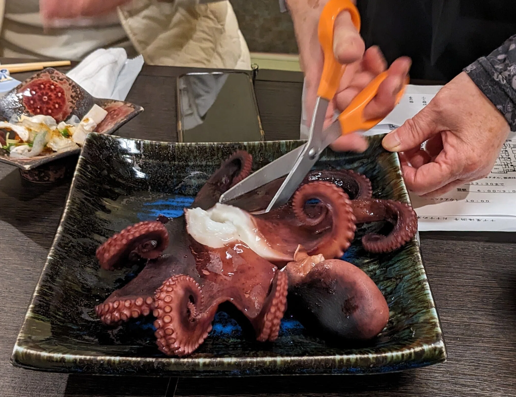 日間賀島探検隊【3/6】夕食の丸茹でに「このタコどこから来たの