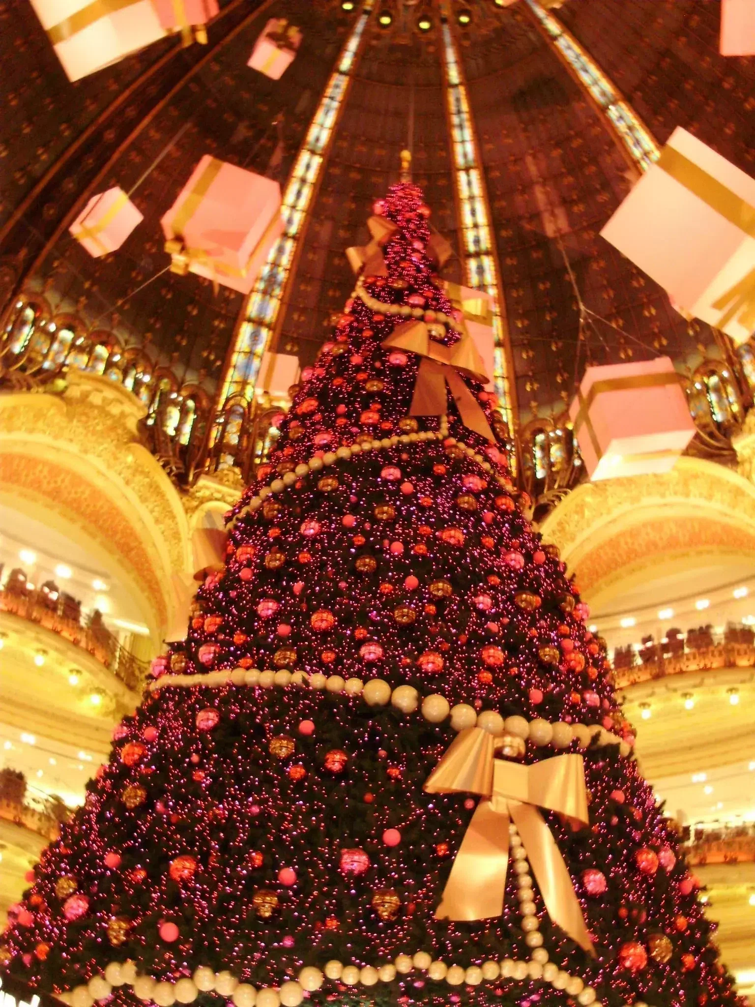 クリスマスツリーのフォトアルバム｜JUNJUN
