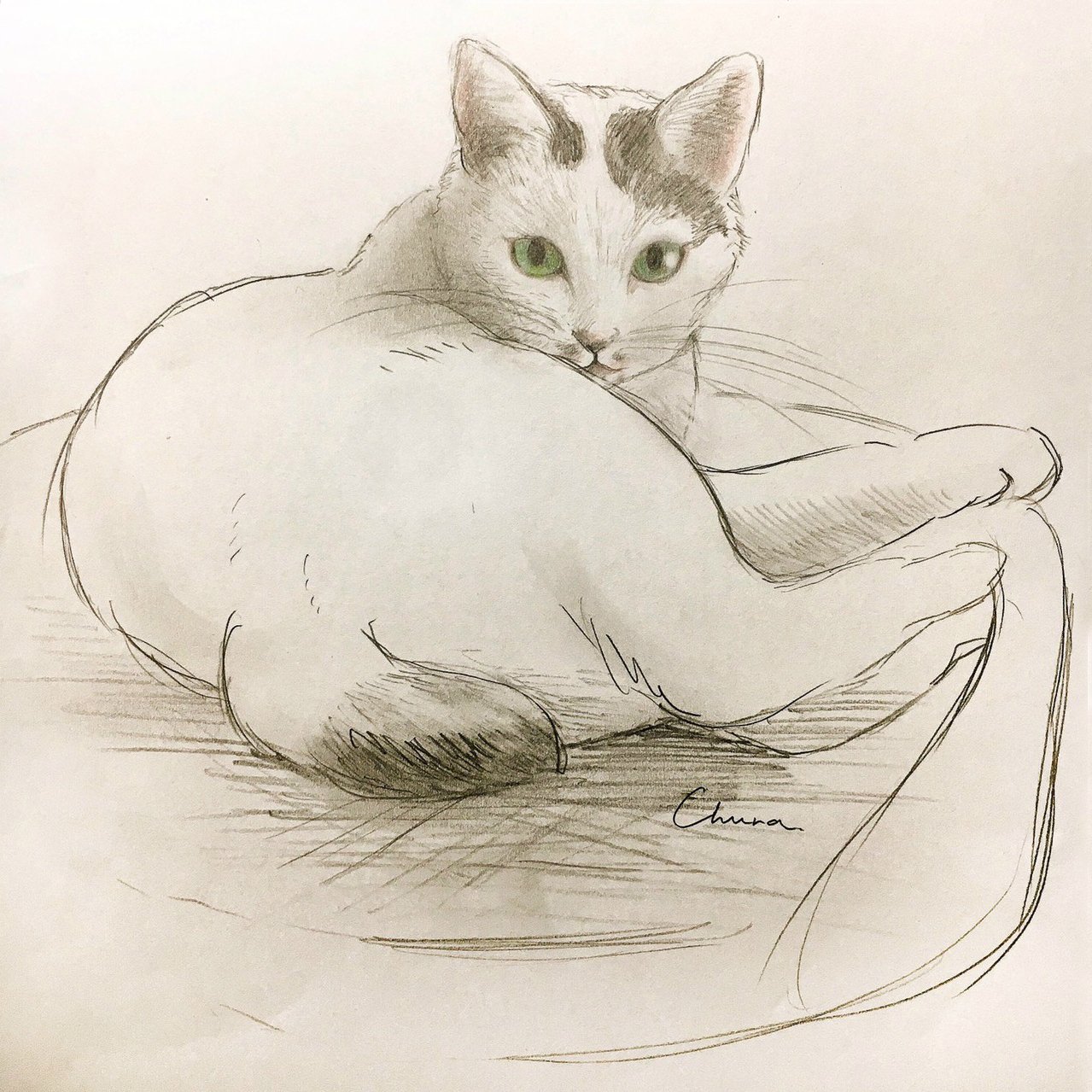龍に導かれ　猫　絵　イラスト Yukari on X: 