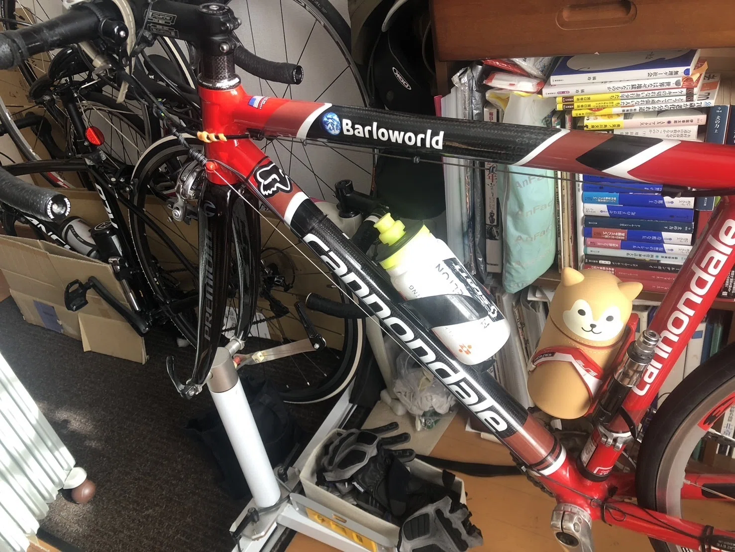 ロードバイク（自転車）の寿命が尽きるまで｜（花鳥風月）ikesan