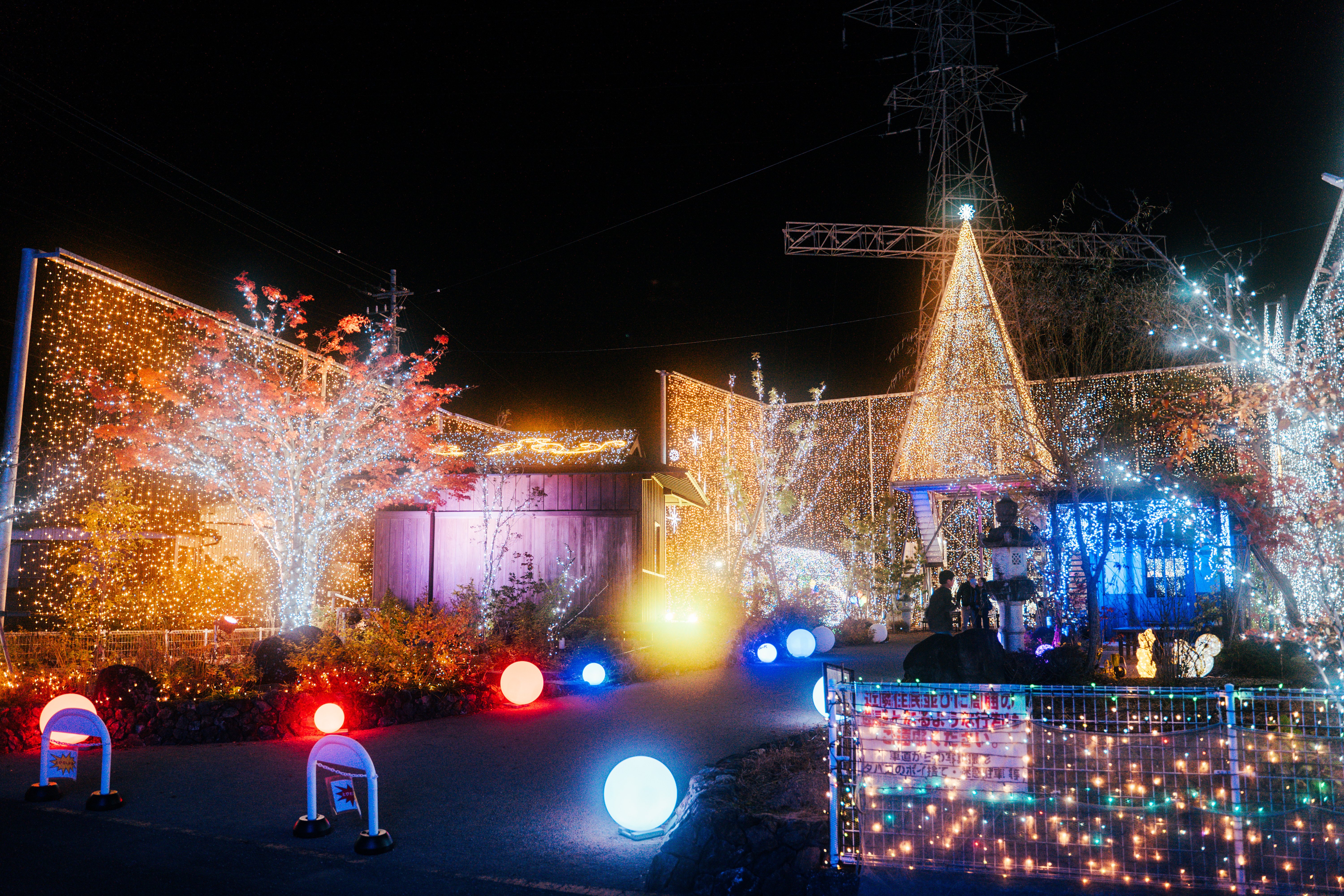 今年もこの季節がやってきた！四万十の冬を彩る「水車亭