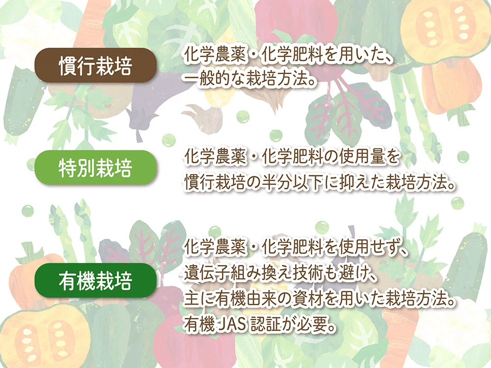 楽天市場】2025年9月以降発送 生姜 7kg 有機栽培 鹿児島県産