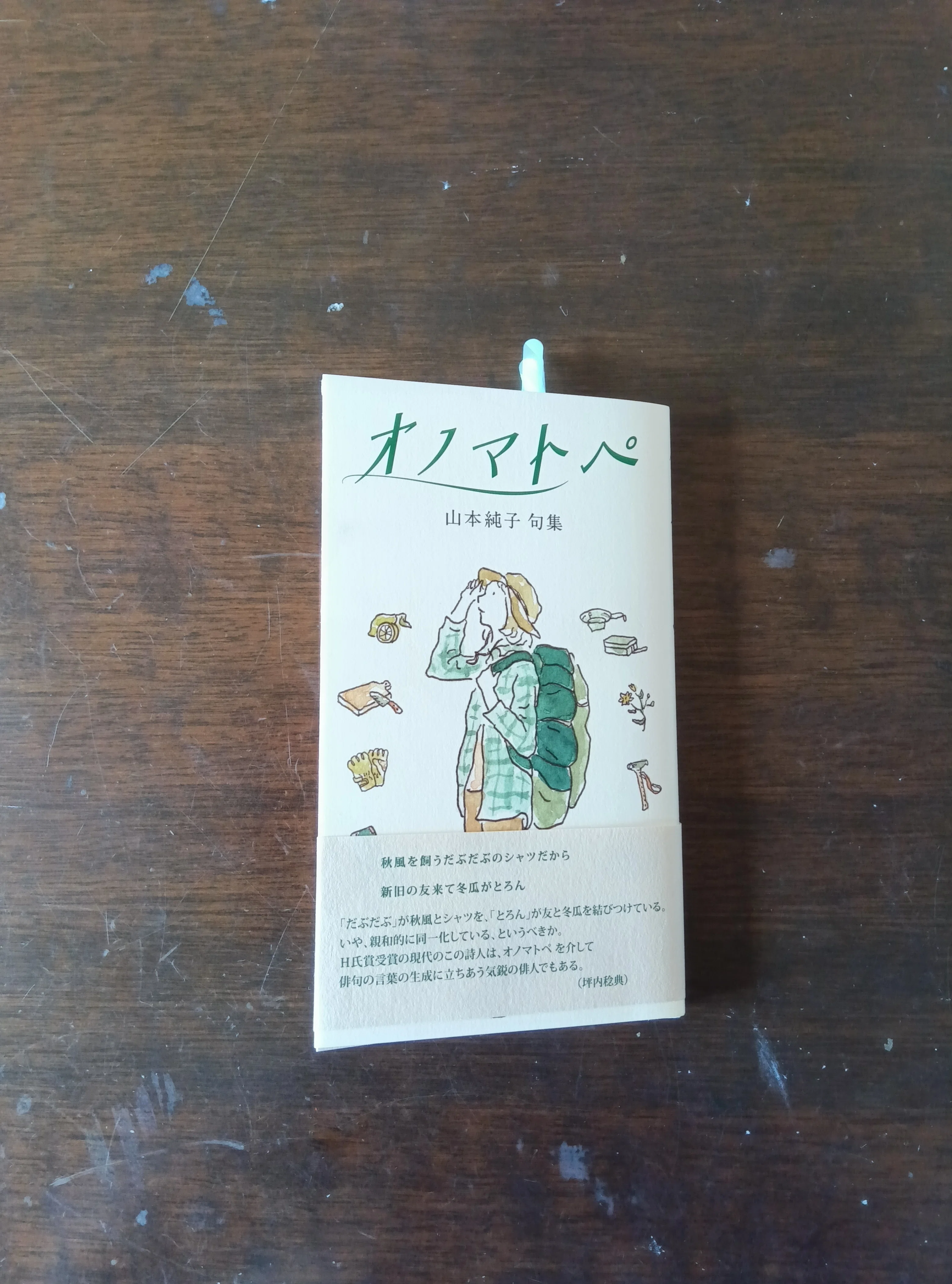 俳句の本紹介です~評伝「高浜虚子」、 句集「アガパンサスの朝