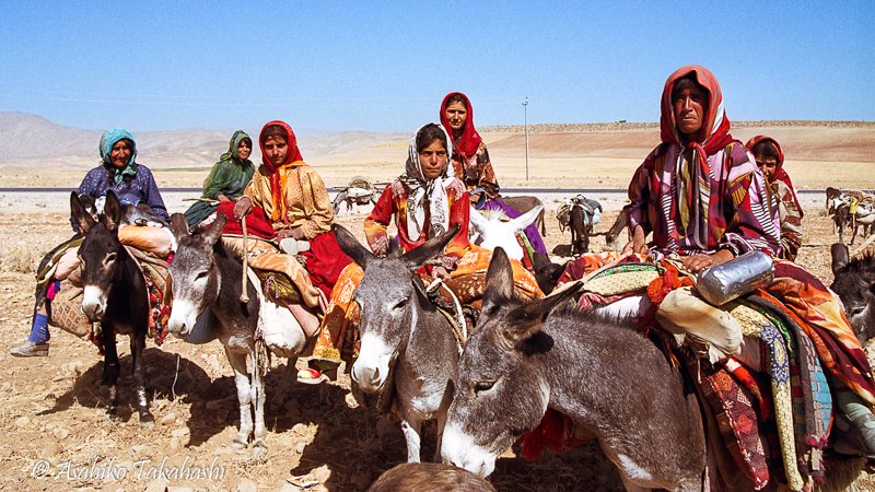 Collection 遊牧民の必需品　へイベ　カシュカイ　114x62cm Collection 遊牧民の必需品 へイベ カシュカイ 114x62cm