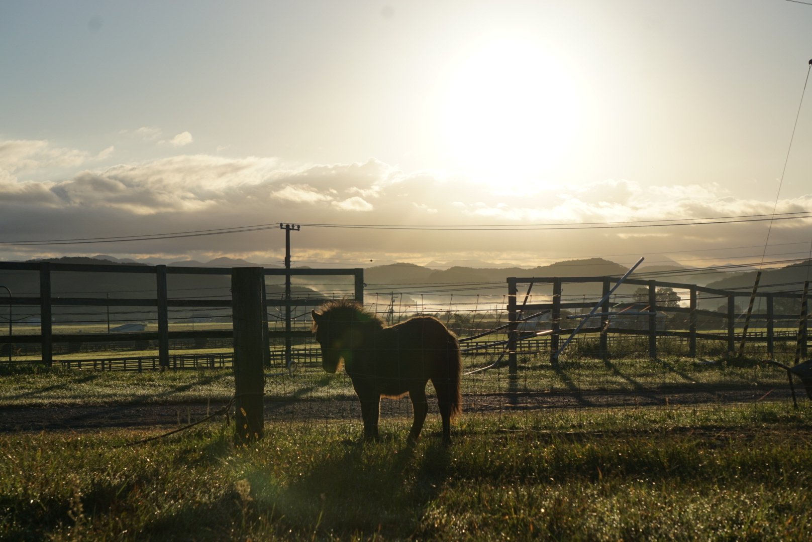 12 馬との日々（写真を添えて）｜凜