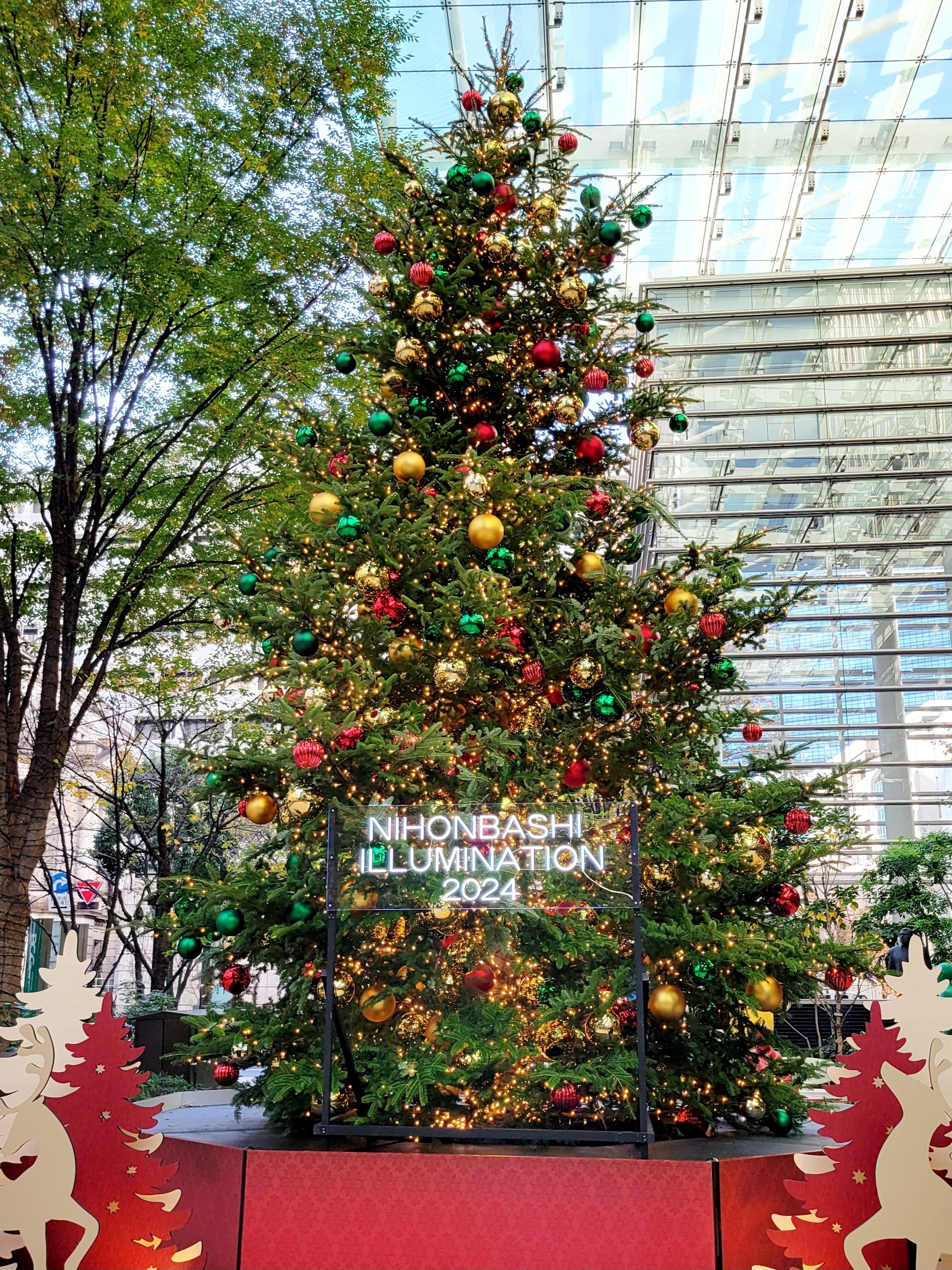 クリスマスツリー狩り🎅🎄本格始動✨｜Yukihiro🧸