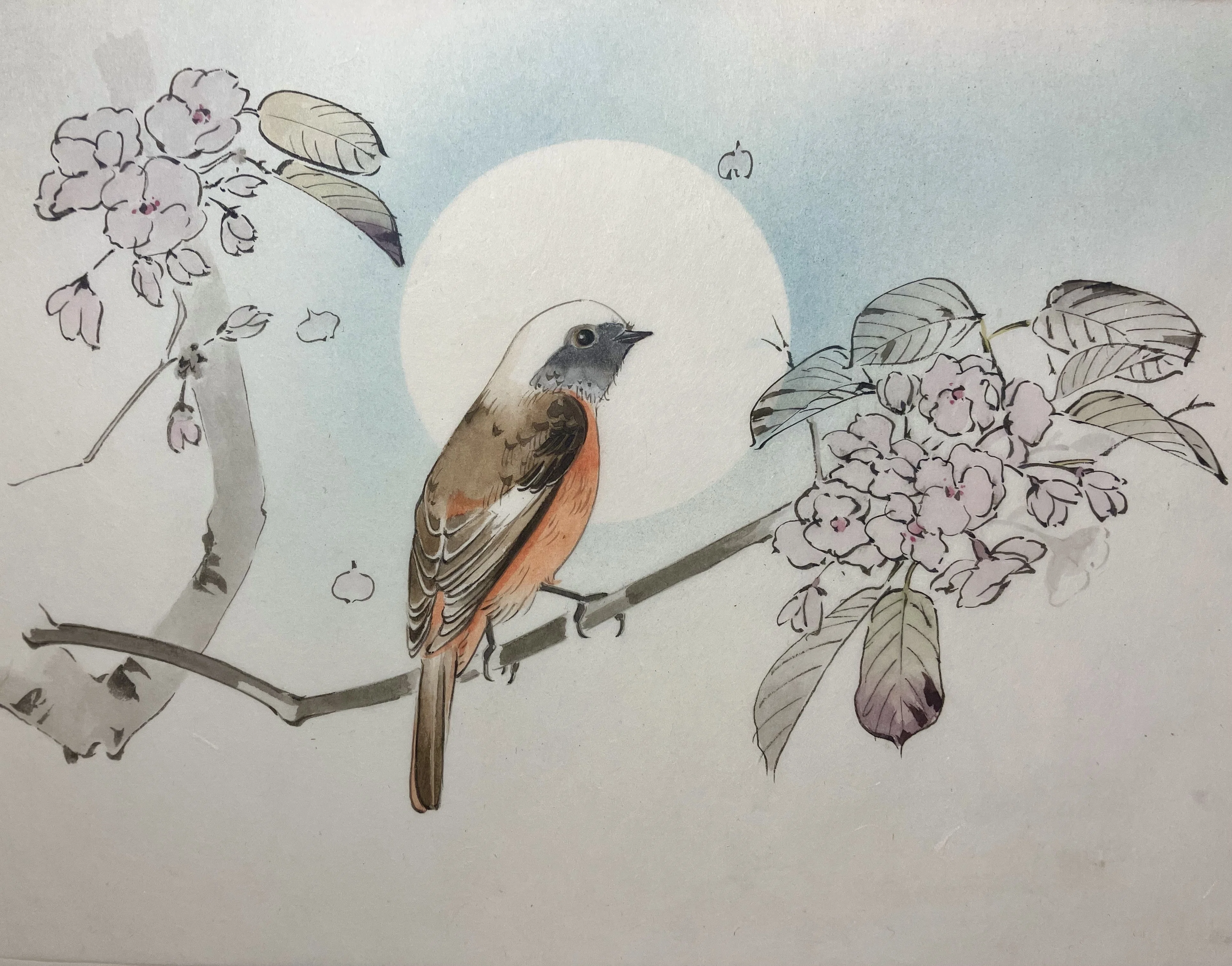今年描いた日本画やイラストをただ眺める｜shino