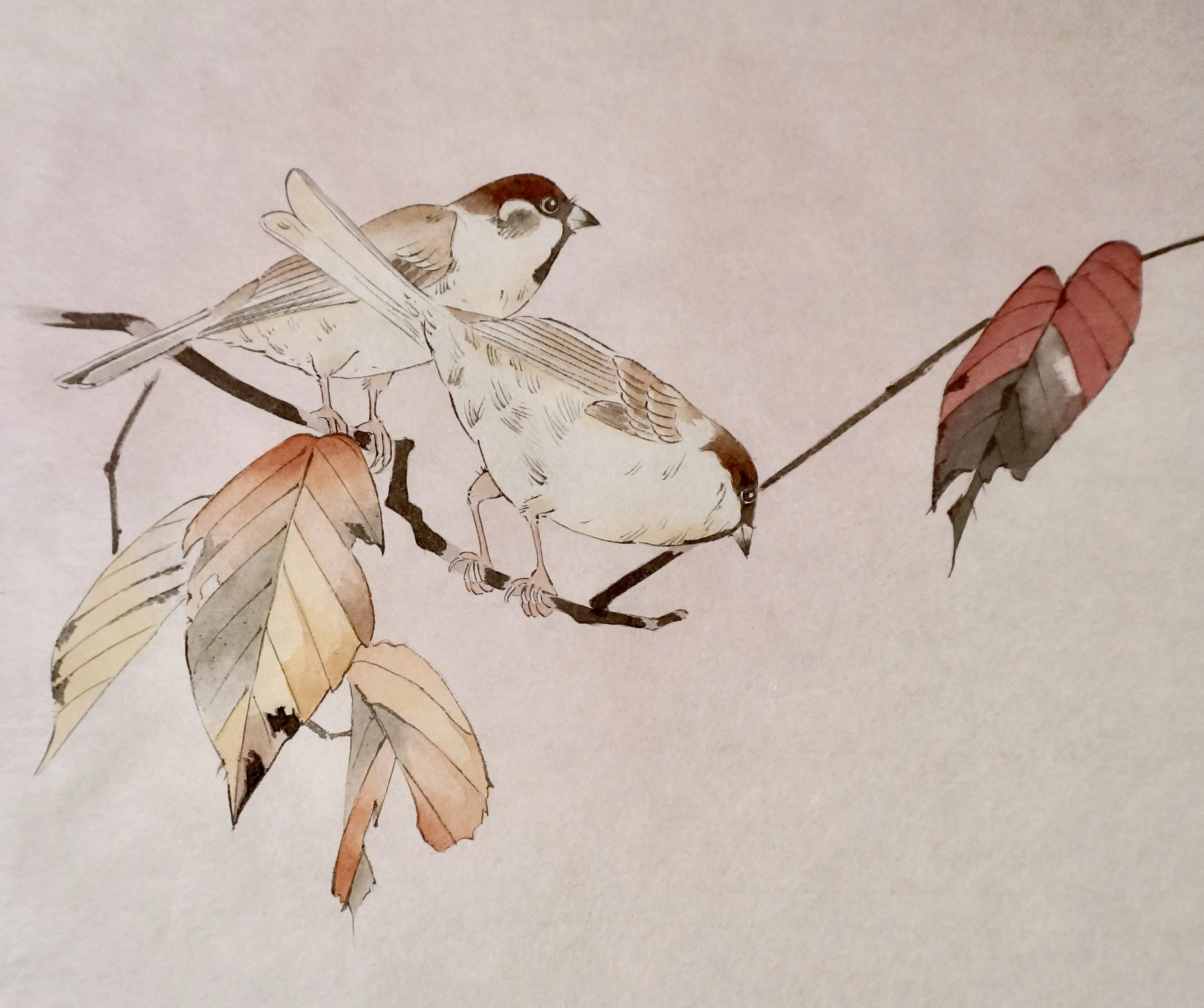 今年描いた日本画やイラストをただ眺める｜shino