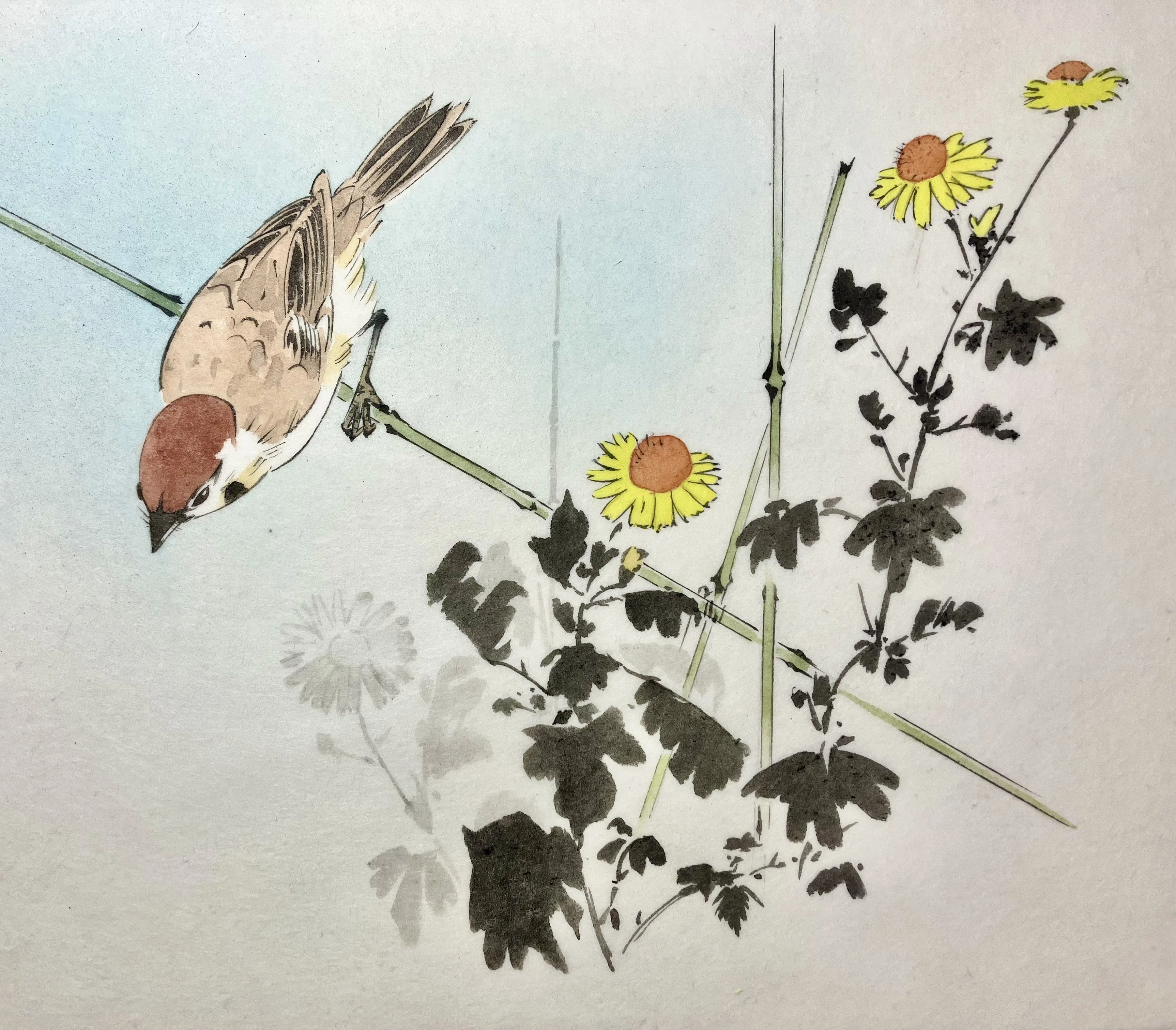 今年描いた日本画やイラストをただ眺める｜shino