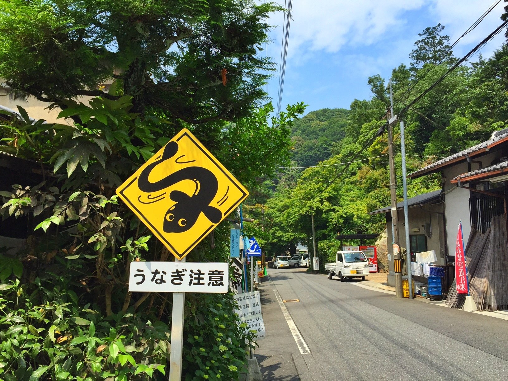 ▪️動物警戒標識#26 ウナギ注意｜matsukoaki