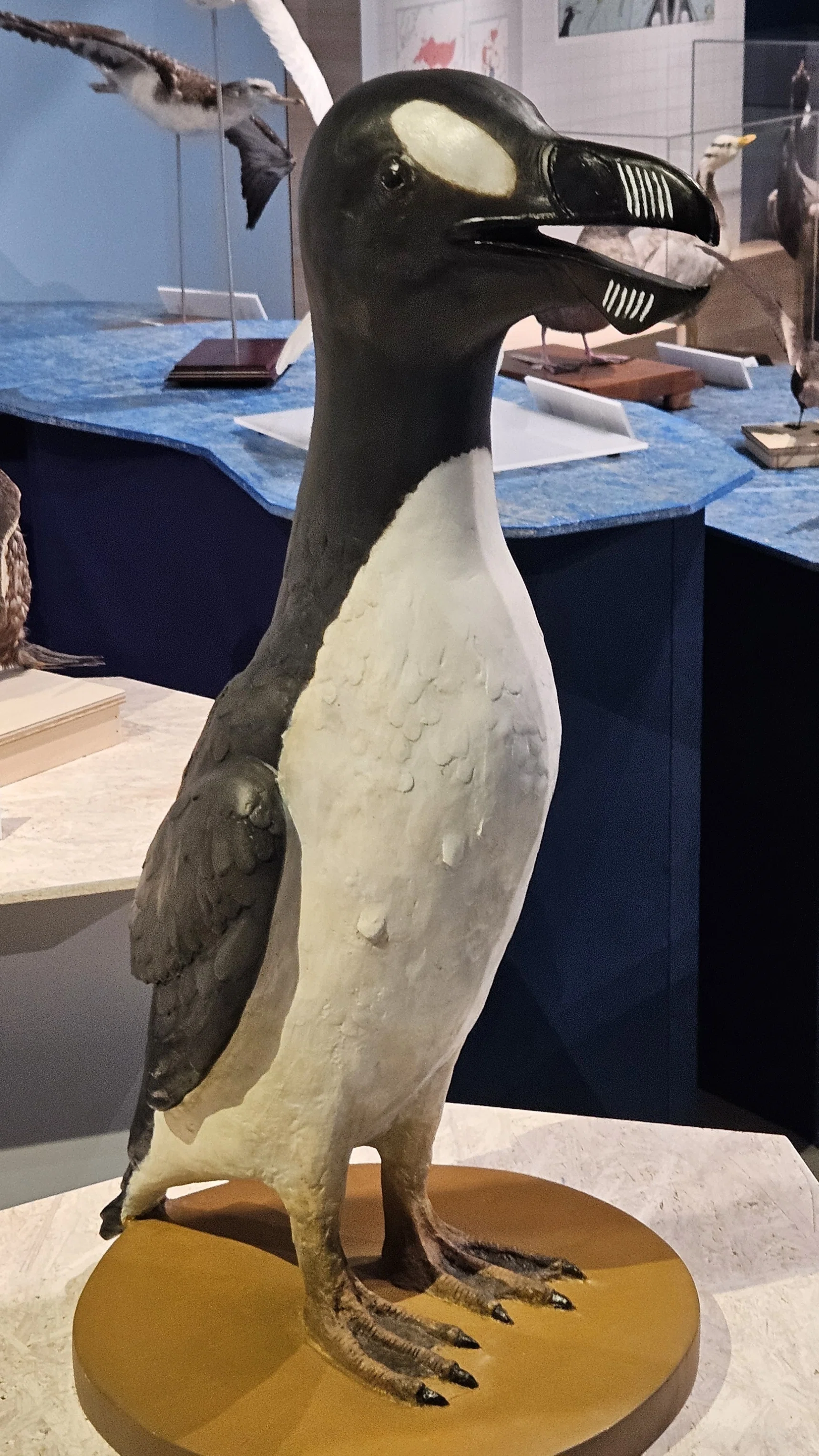 The Lost Universe 古代の巨大水鳥③巨大ペンギンモドキ｜美原さつき